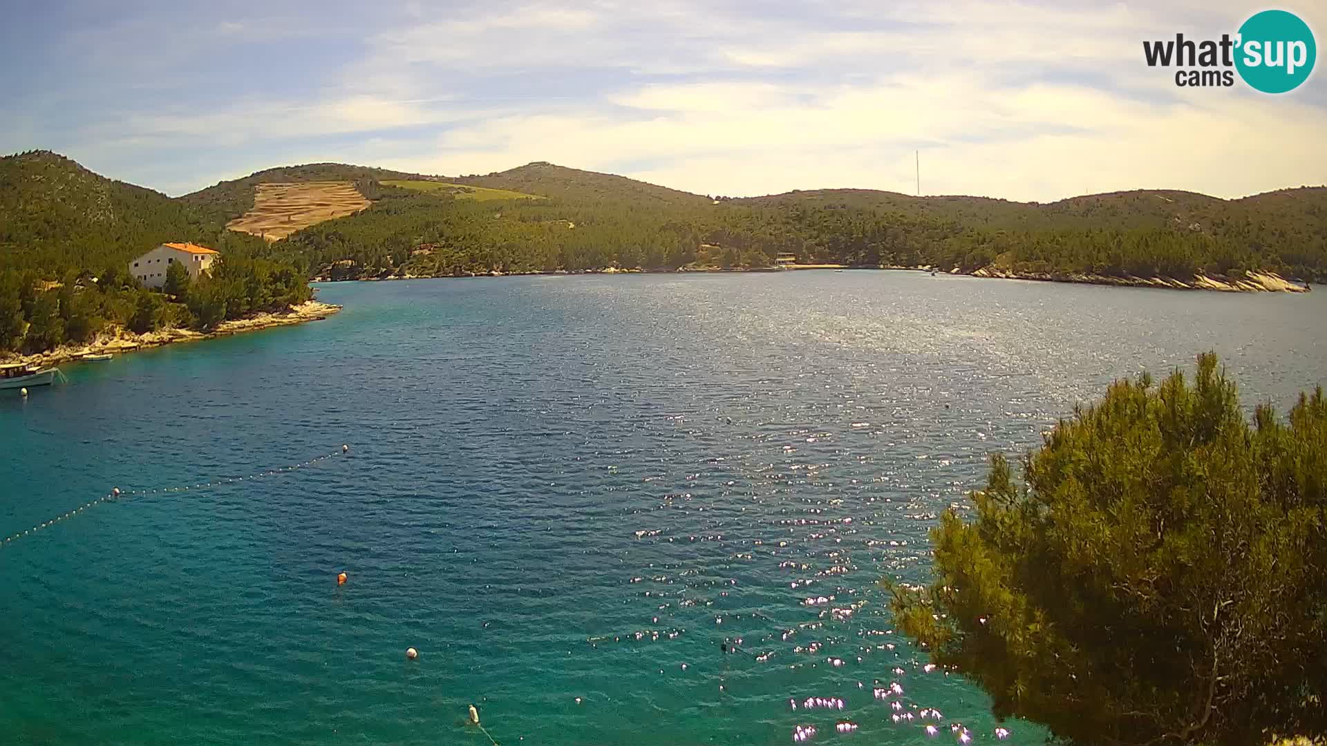 Hvar webcam Vira Strand | Hvar Insel | Dalmatien