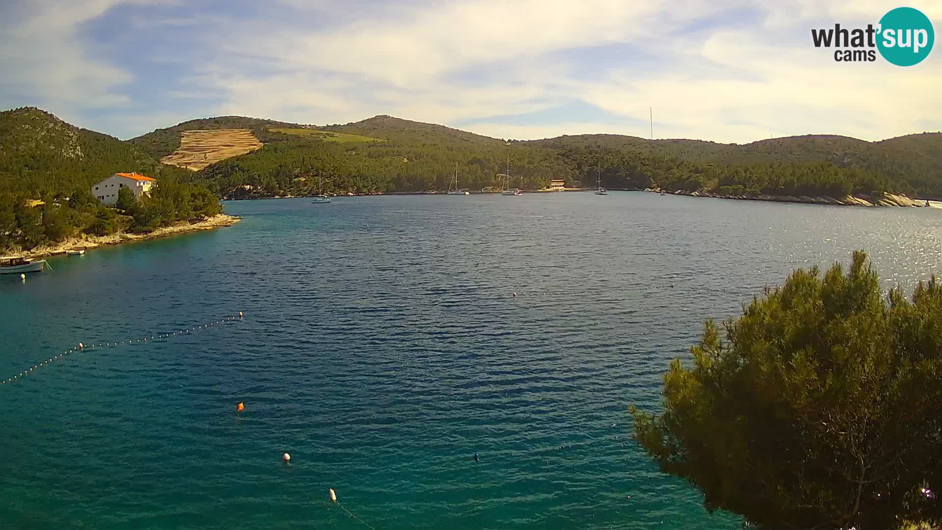 Hvar webcam Vira Strand | Hvar Insel | Dalmatien