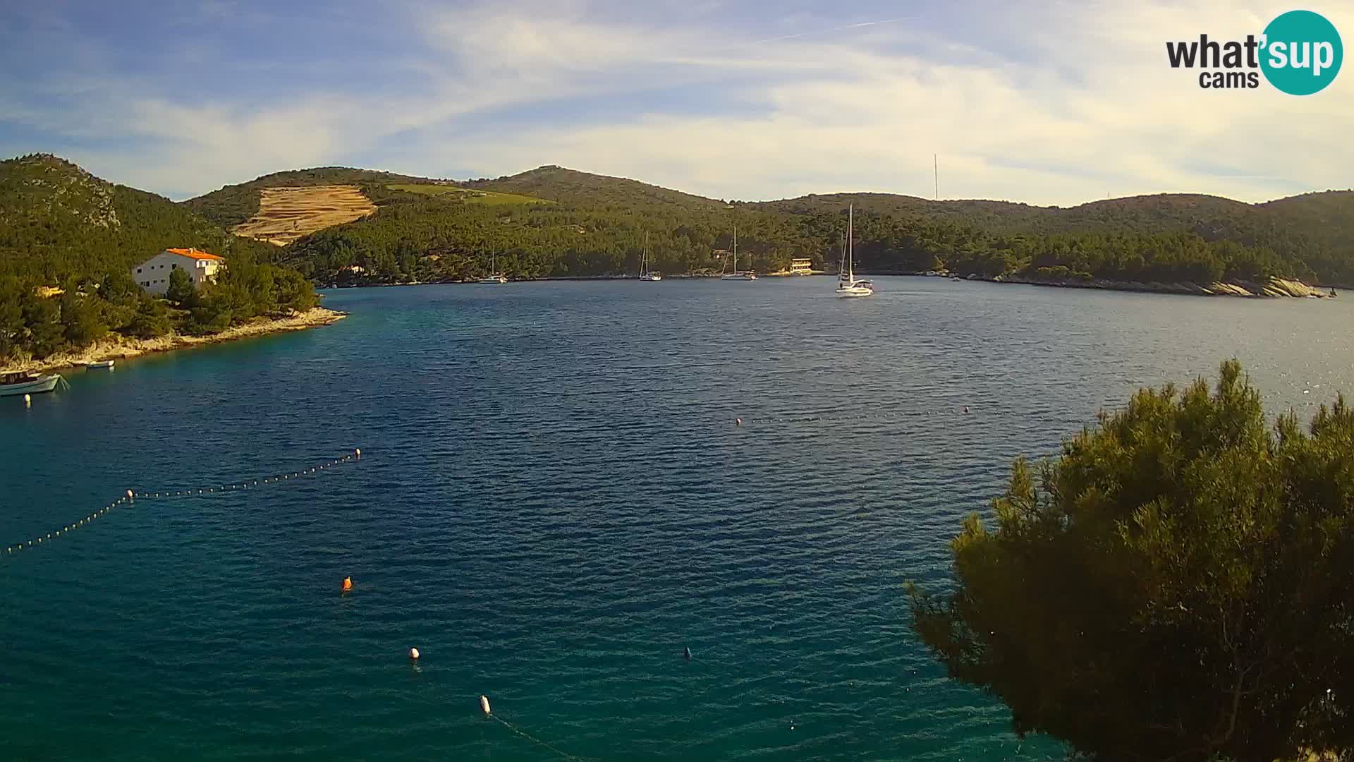 Webcam Hvar Vira beach | Hvar island | Dalmatia