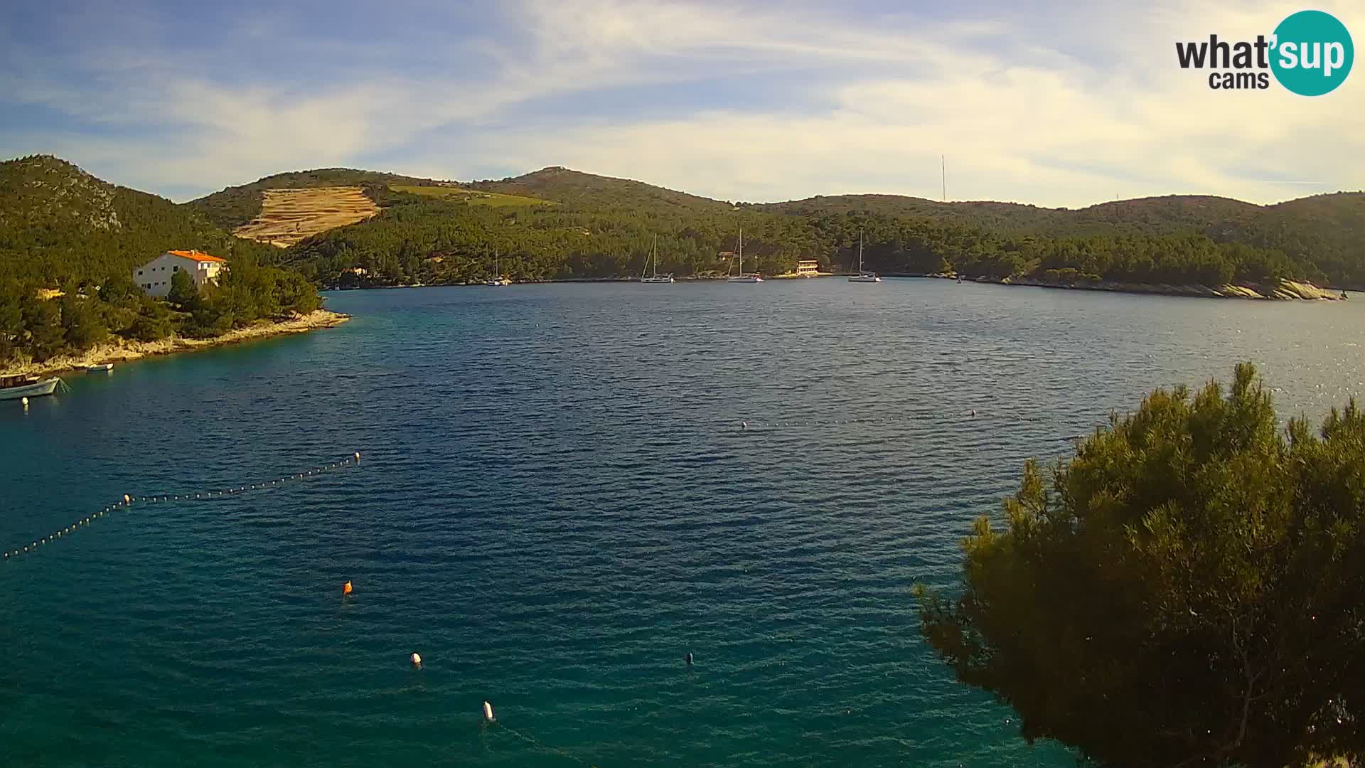 Camera Hvar Vira playa | Isla de Hvar | Dalmacia