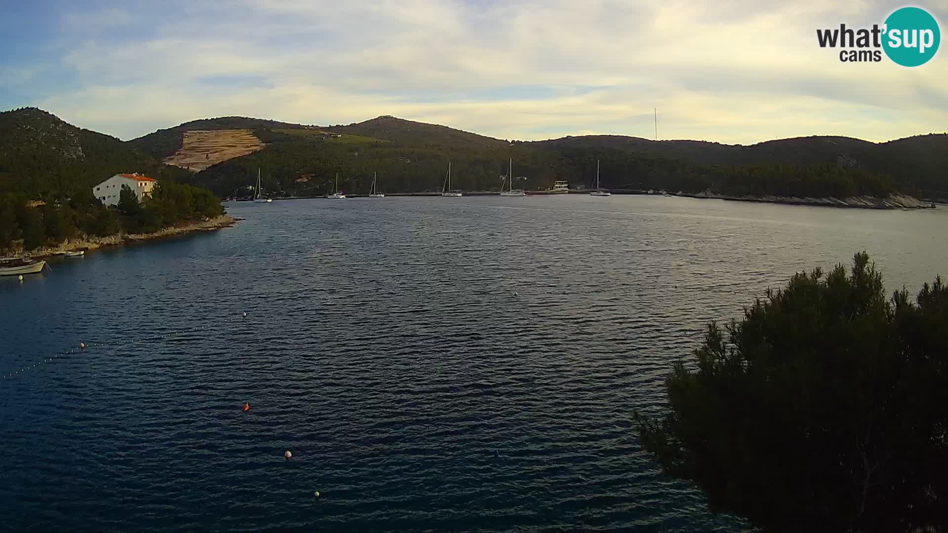 Hvar webcam Vira Strand | Hvar Insel | Dalmatien