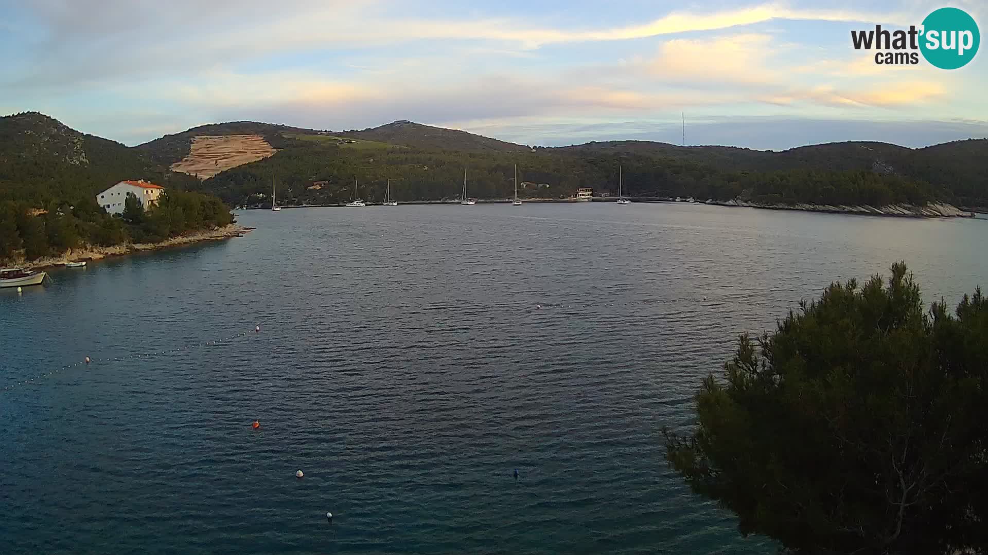 Camera Hvar Vira playa | Isla de Hvar | Dalmacia