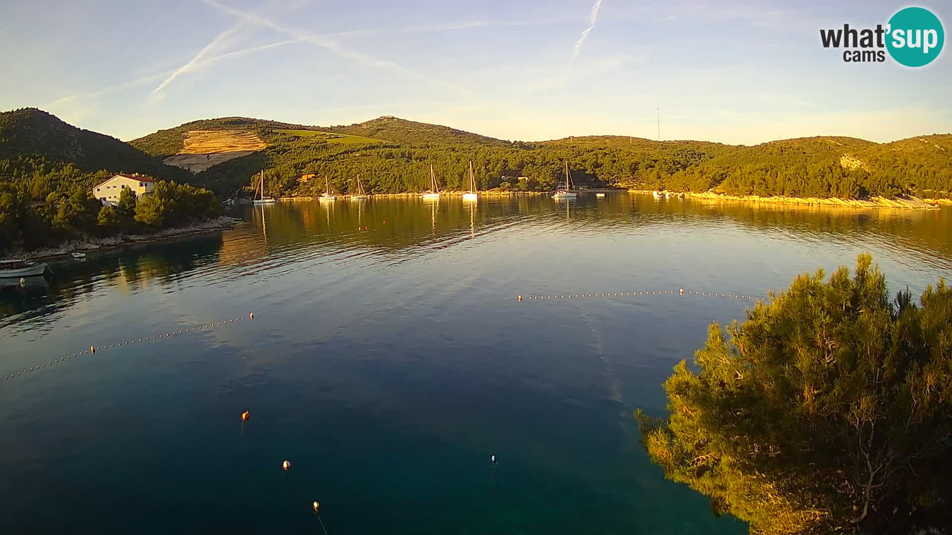 Camera Hvar Vira playa | Isla de Hvar | Dalmacia
