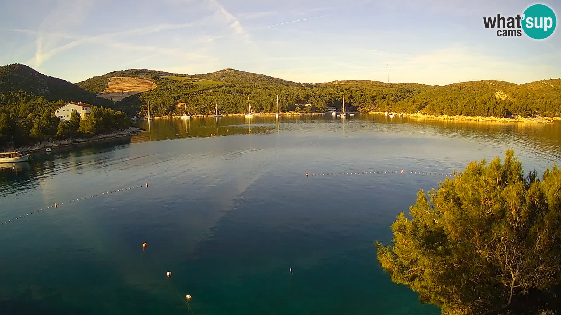 Camera Hvar Vira playa | Isla de Hvar | Dalmacia