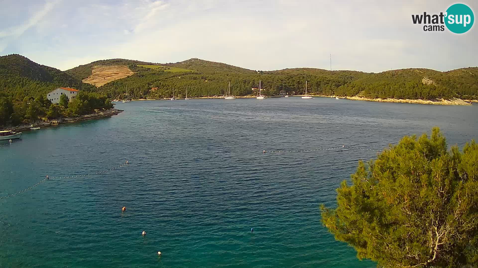 Live cam Hvar Vira plage | Île de Hvar | Dalmatie