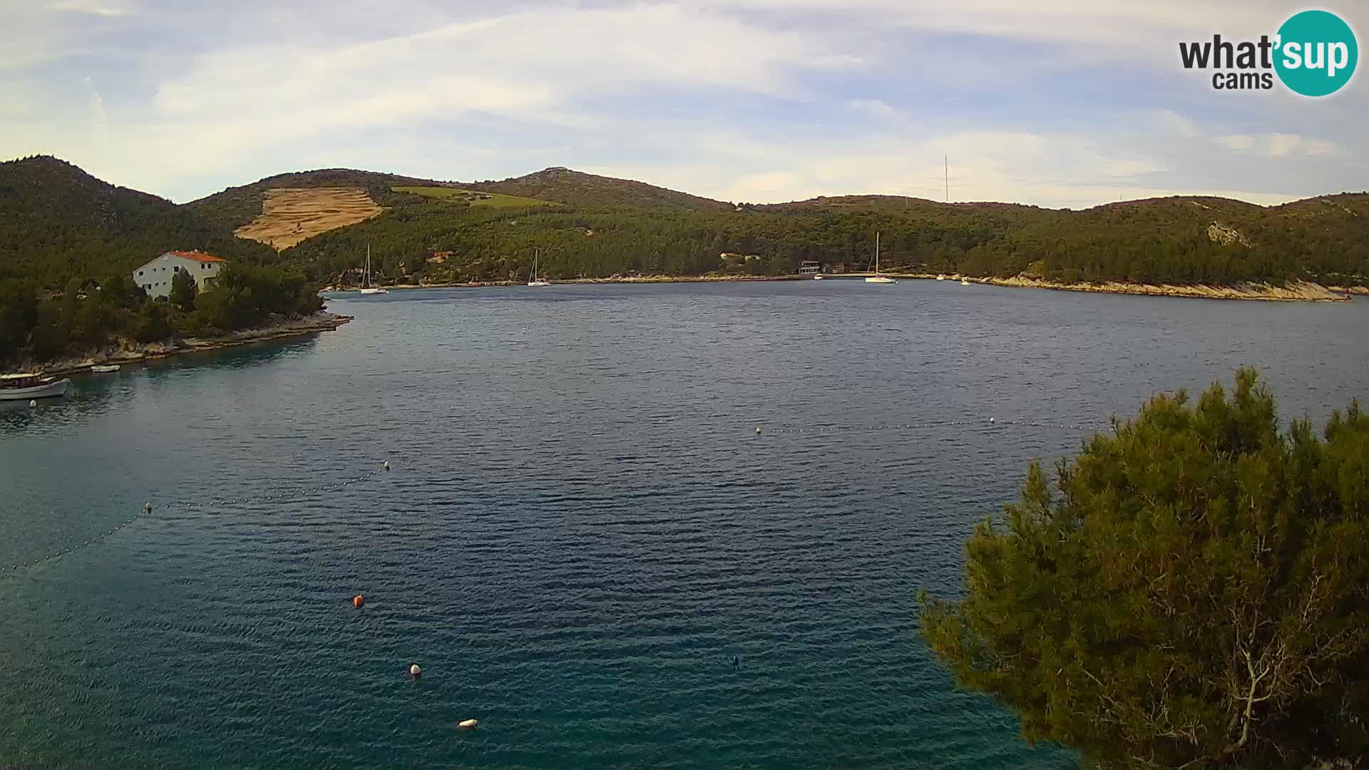 Webcam Hvar Vira beach | Hvar island | Dalmatia