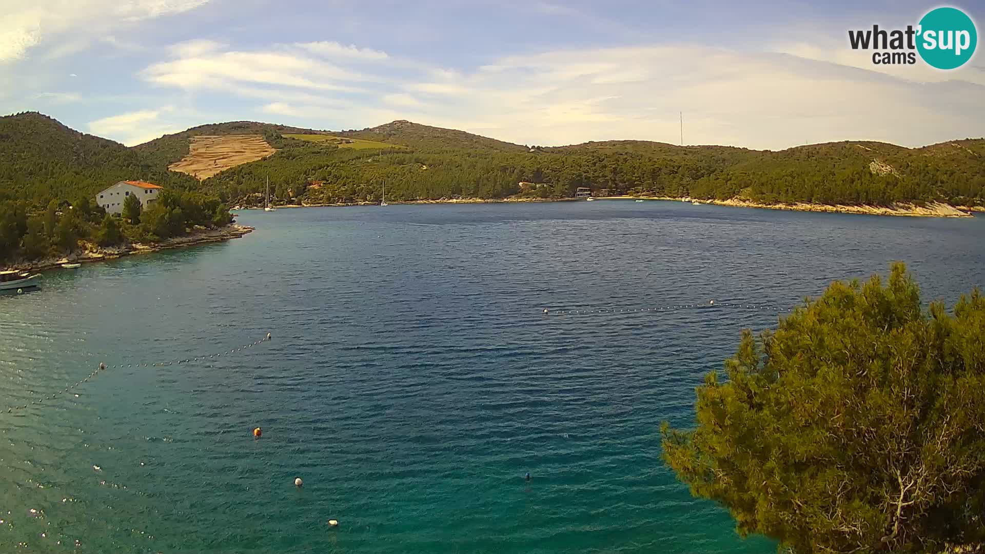 Hvar webcam Vira Strand | Hvar Insel | Dalmatien