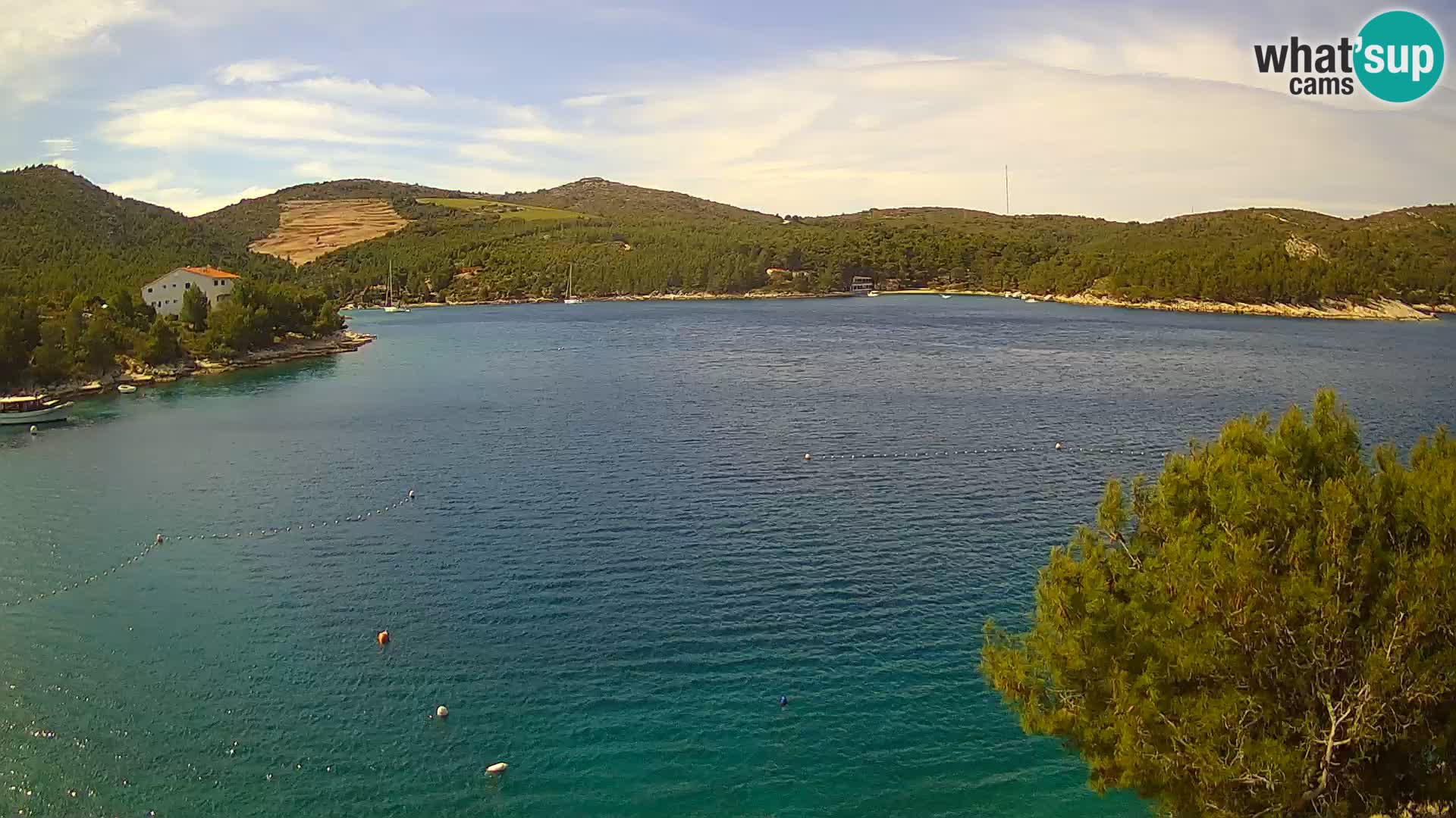 Hvar webcam Vira Strand | Hvar Insel | Dalmatien