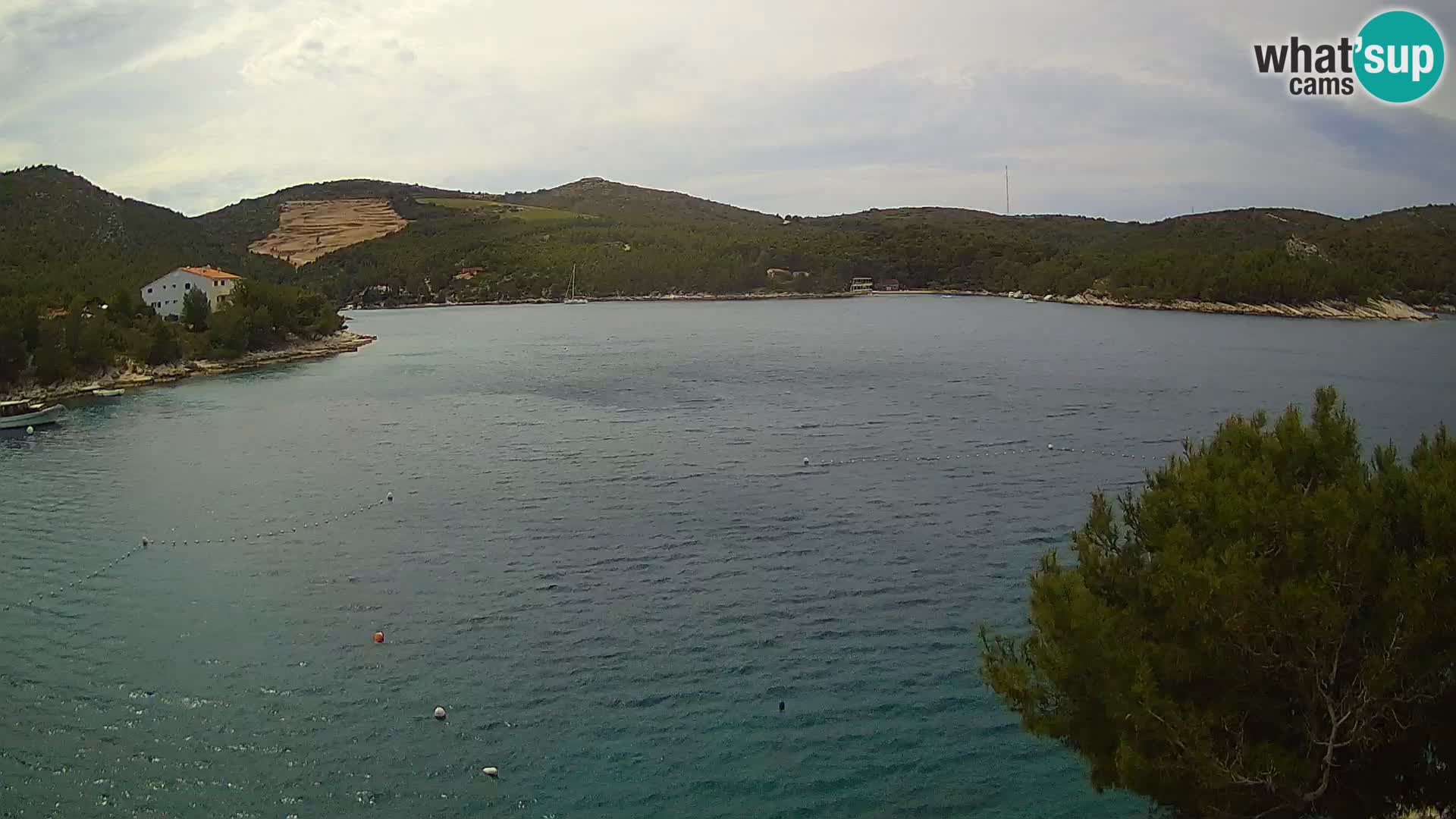 Hvar webcam Vira Strand | Hvar Insel | Dalmatien