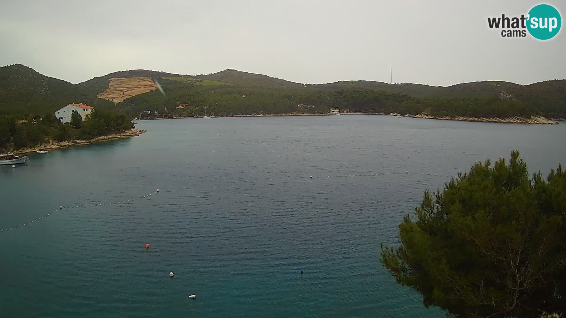 Live cam Hvar Vira plage | Île de Hvar | Dalmatie