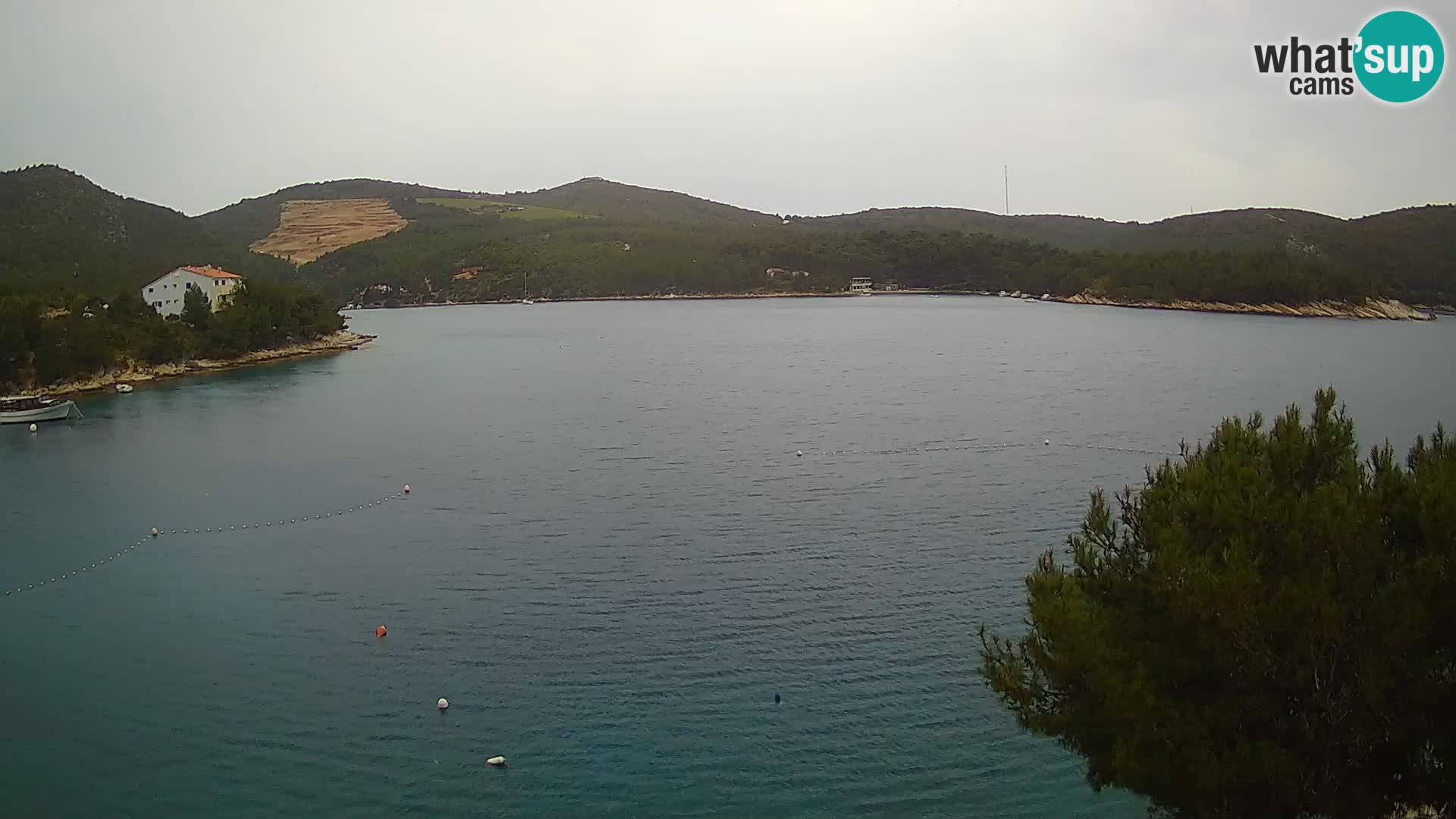 Hvar webcam Vira Strand | Hvar Insel | Dalmatien