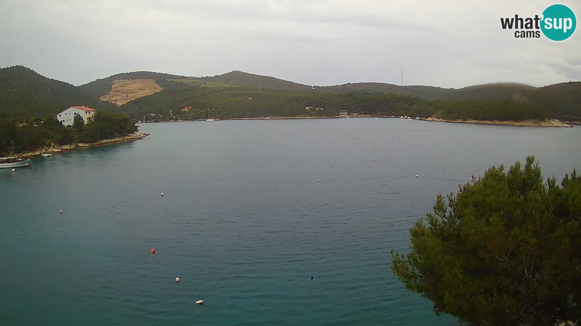Web kamera Hvar Vira plaža | otok Hvar | Dalmacija