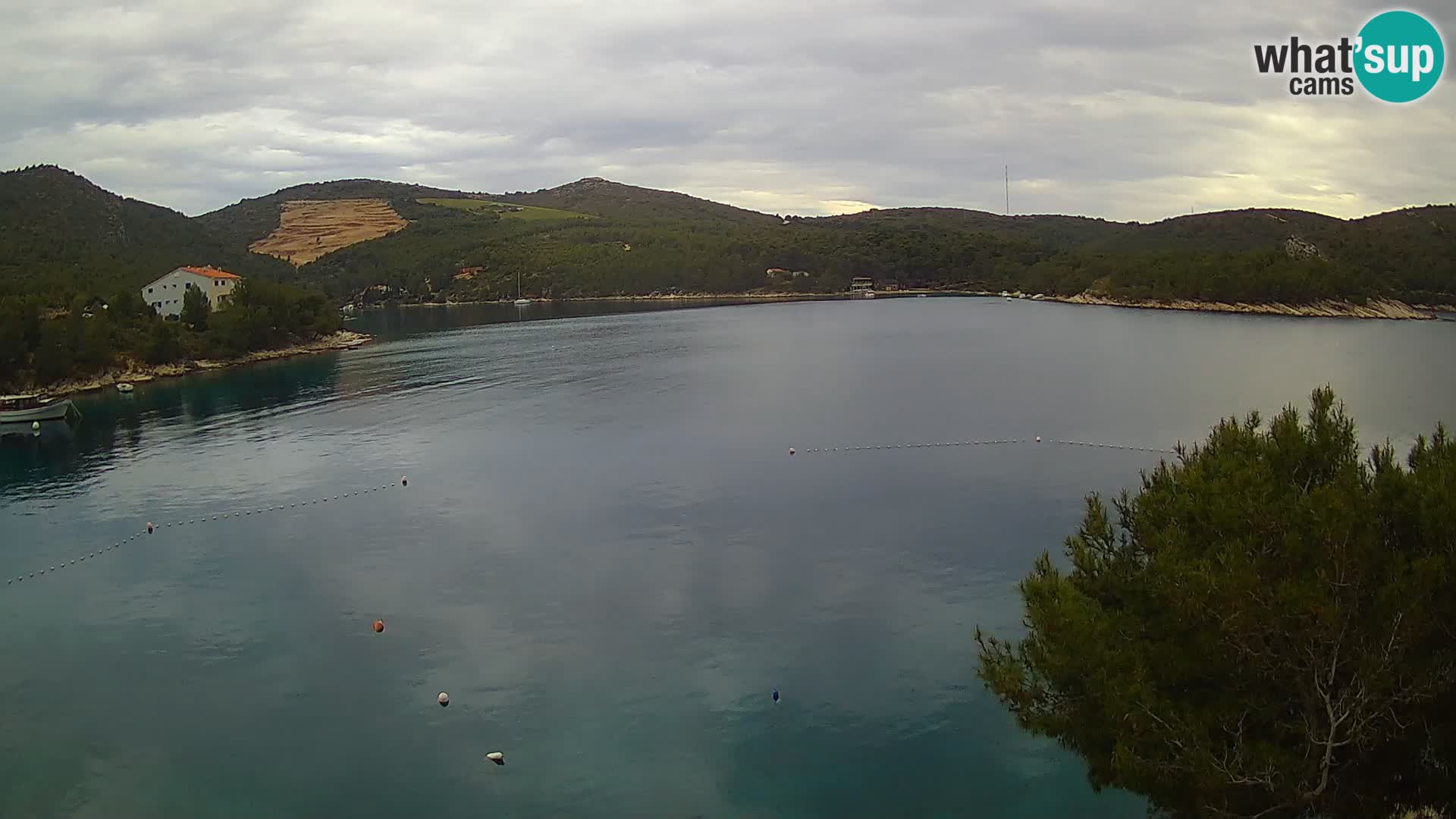 Hvar webcam Vira Strand | Hvar Insel | Dalmatien