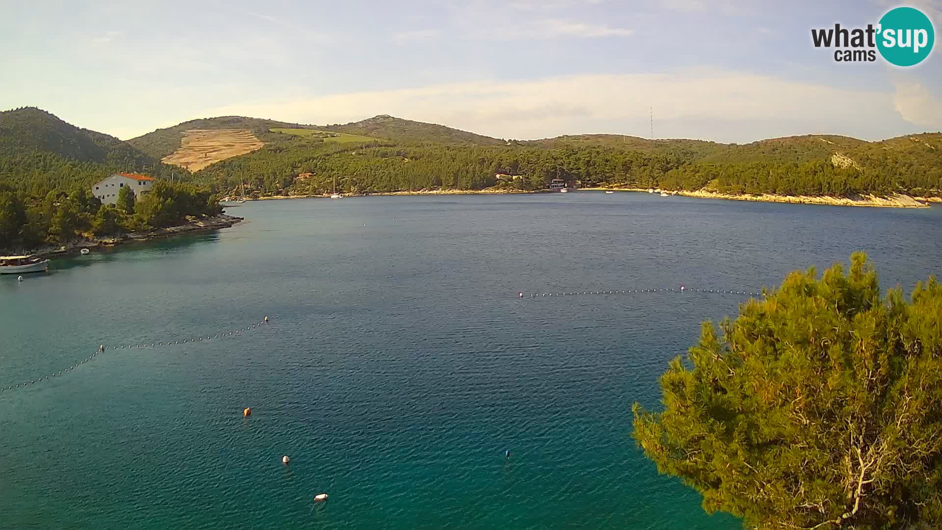 Camera Hvar Vira playa | Isla de Hvar | Dalmacia
