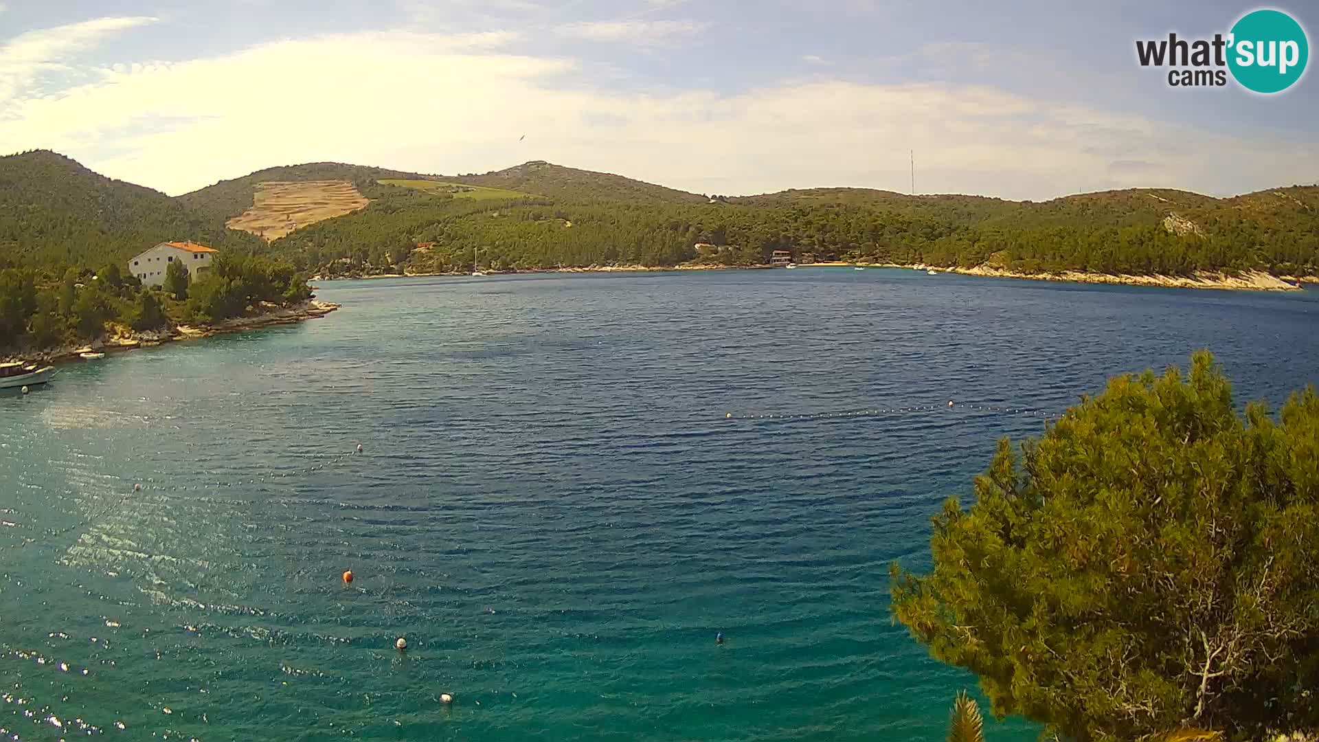 Webcam Hvar Vira beach | Hvar island | Dalmatia