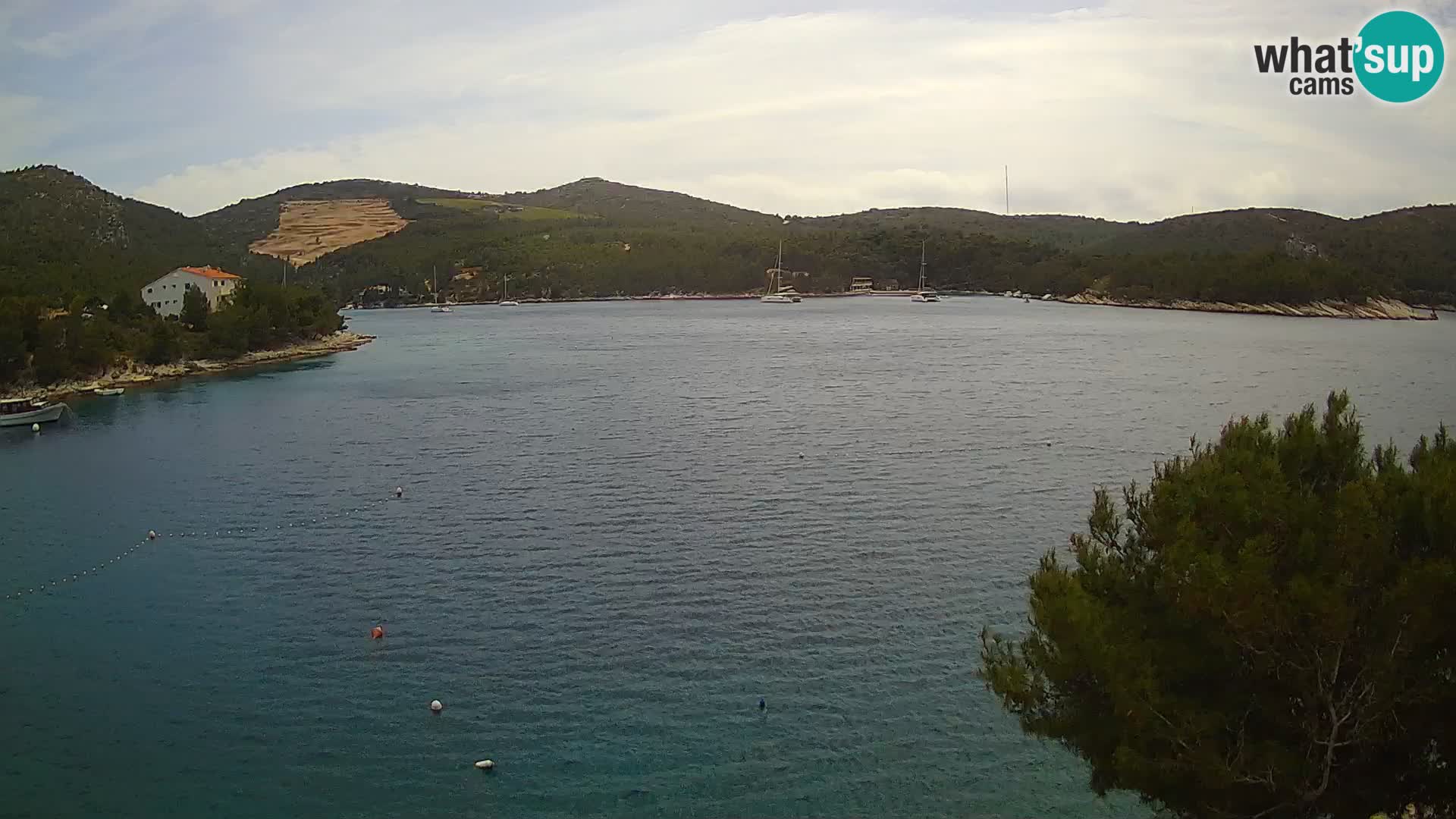 Camera Hvar Vira playa | Isla de Hvar | Dalmacia