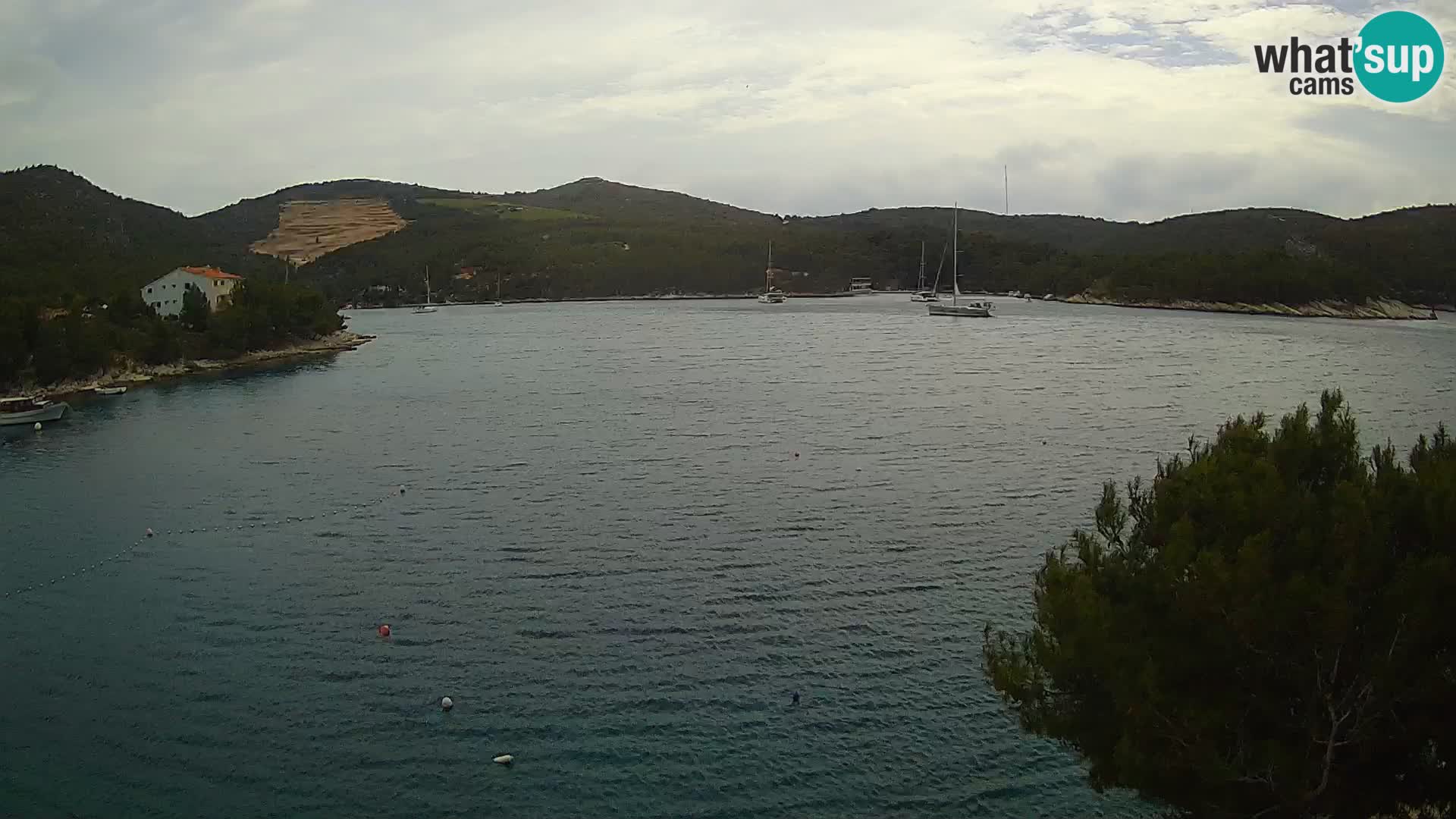 Camera Hvar Vira playa | Isla de Hvar | Dalmacia