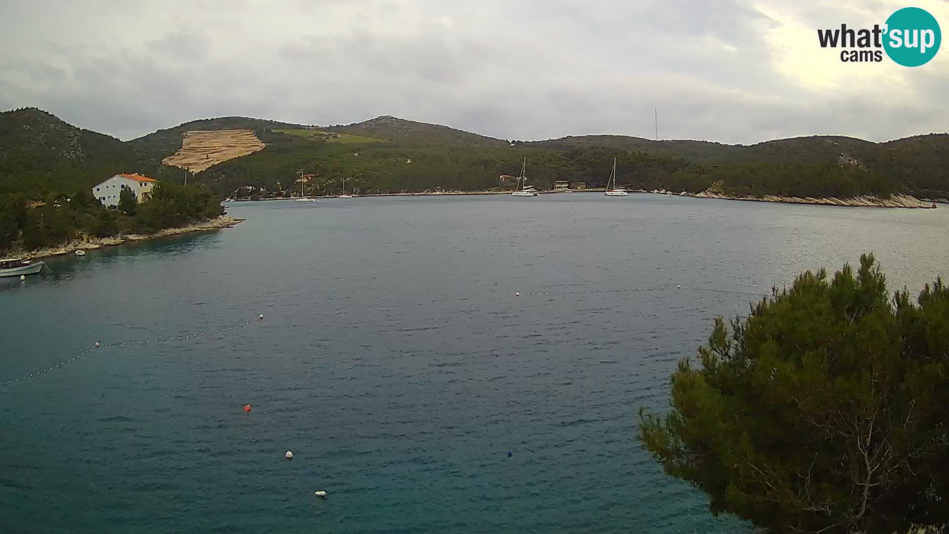 Camera Hvar Vira playa | Isla de Hvar | Dalmacia