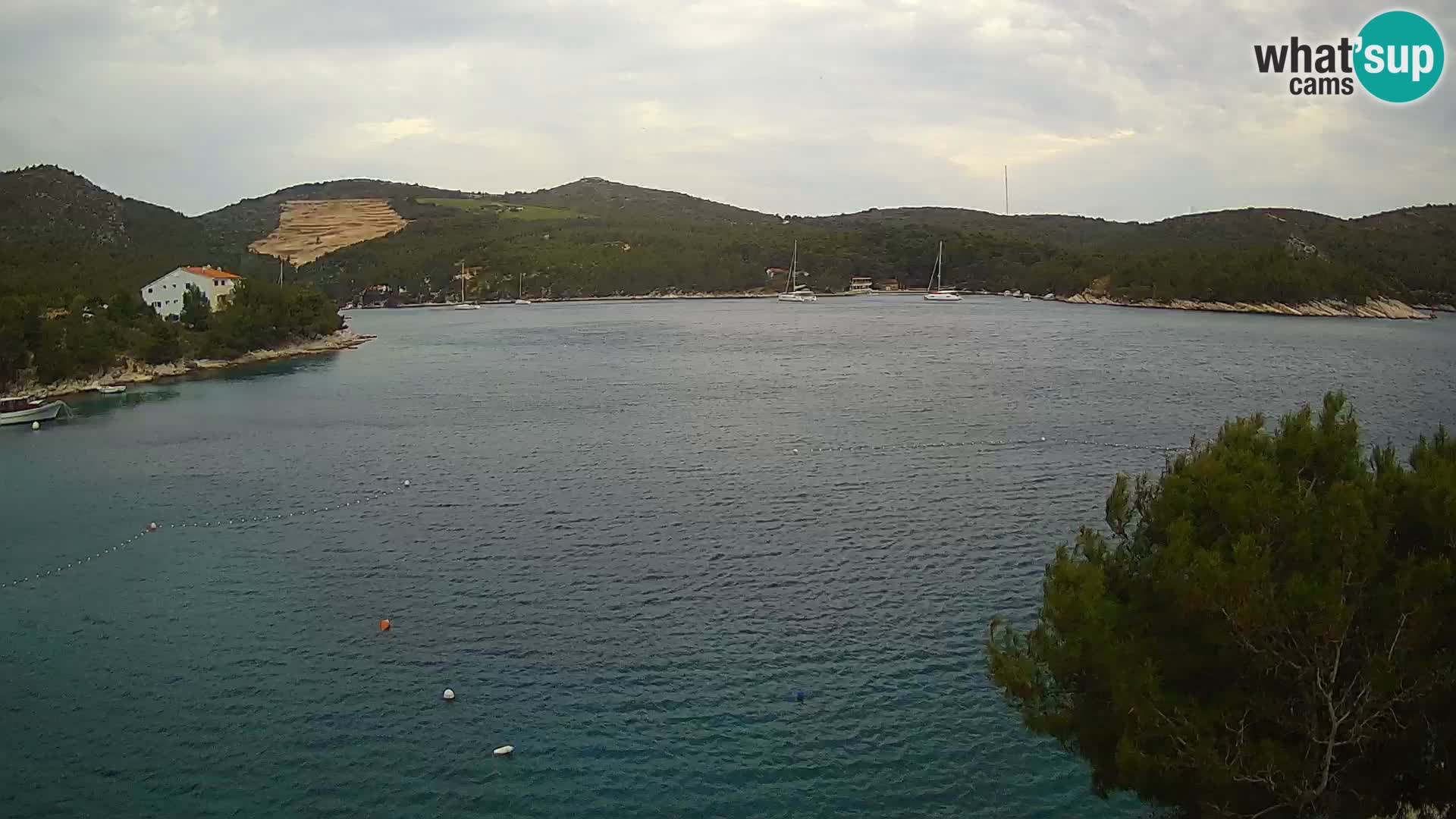 Camera Hvar Vira playa | Isla de Hvar | Dalmacia