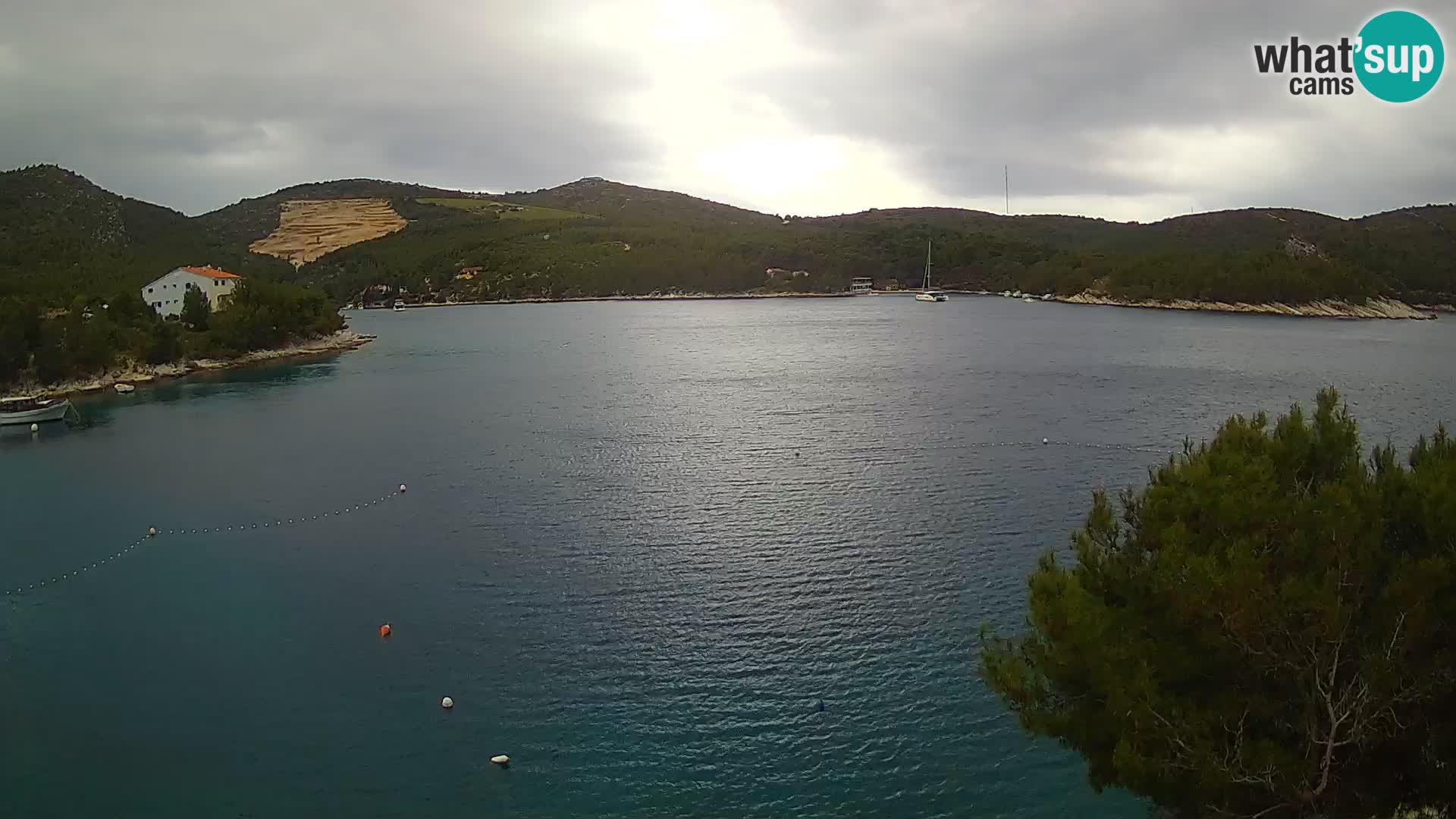 Camera Hvar Vira playa | Isla de Hvar | Dalmacia