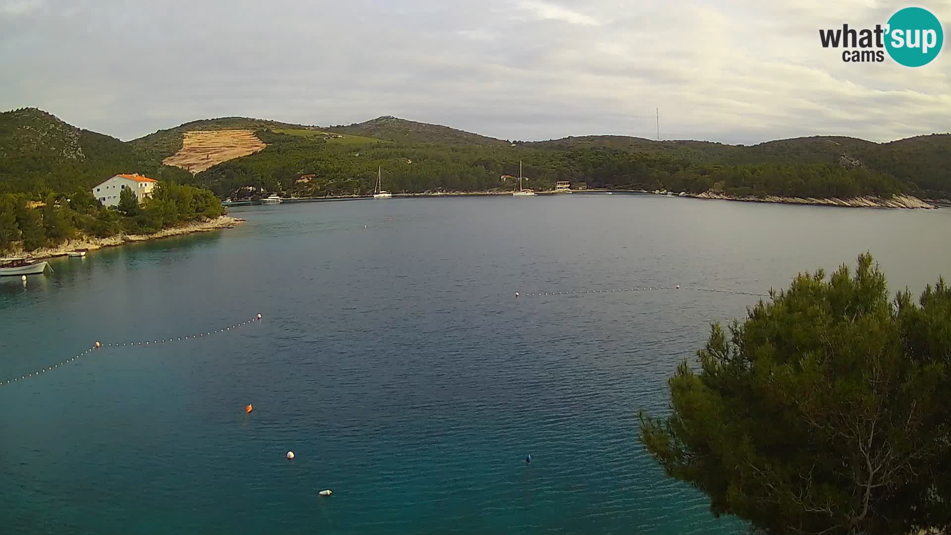 Live cam Hvar Vira plage | Île de Hvar | Dalmatie