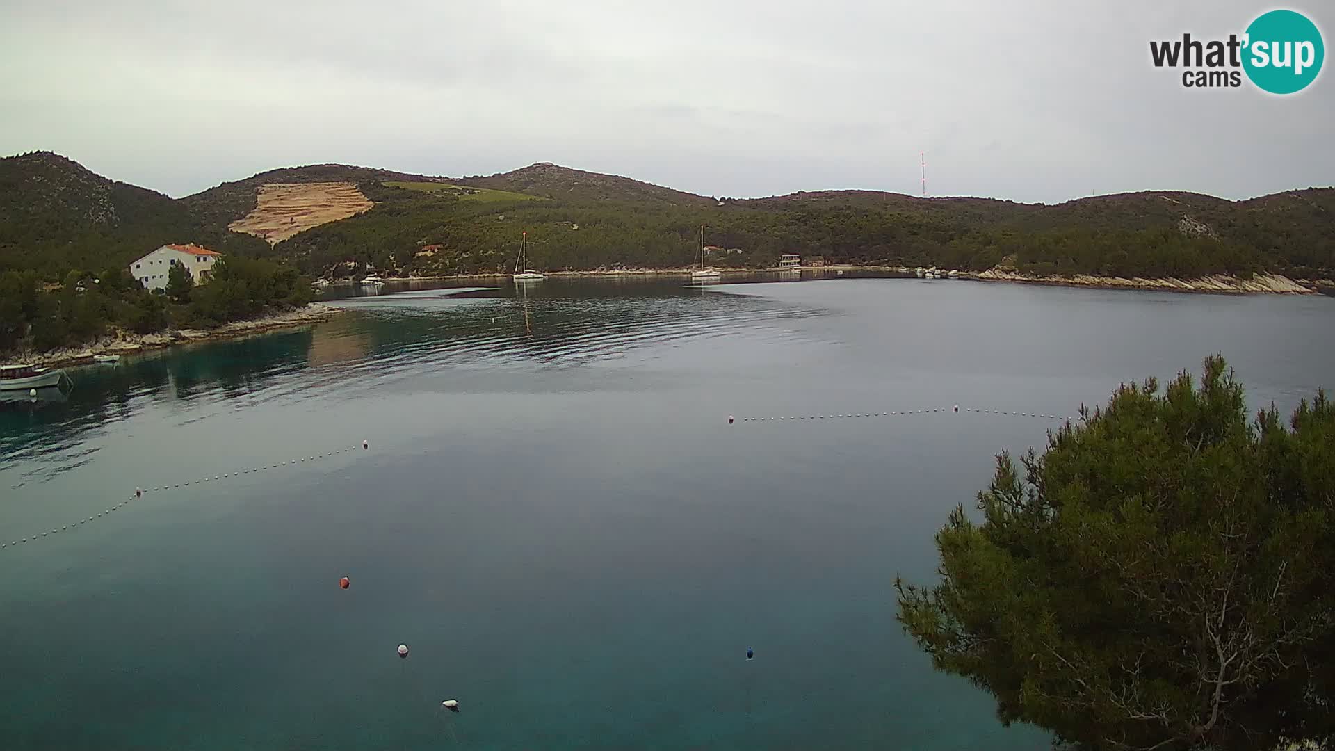 Webcam Hvar Vira beach | Hvar island | Dalmatia