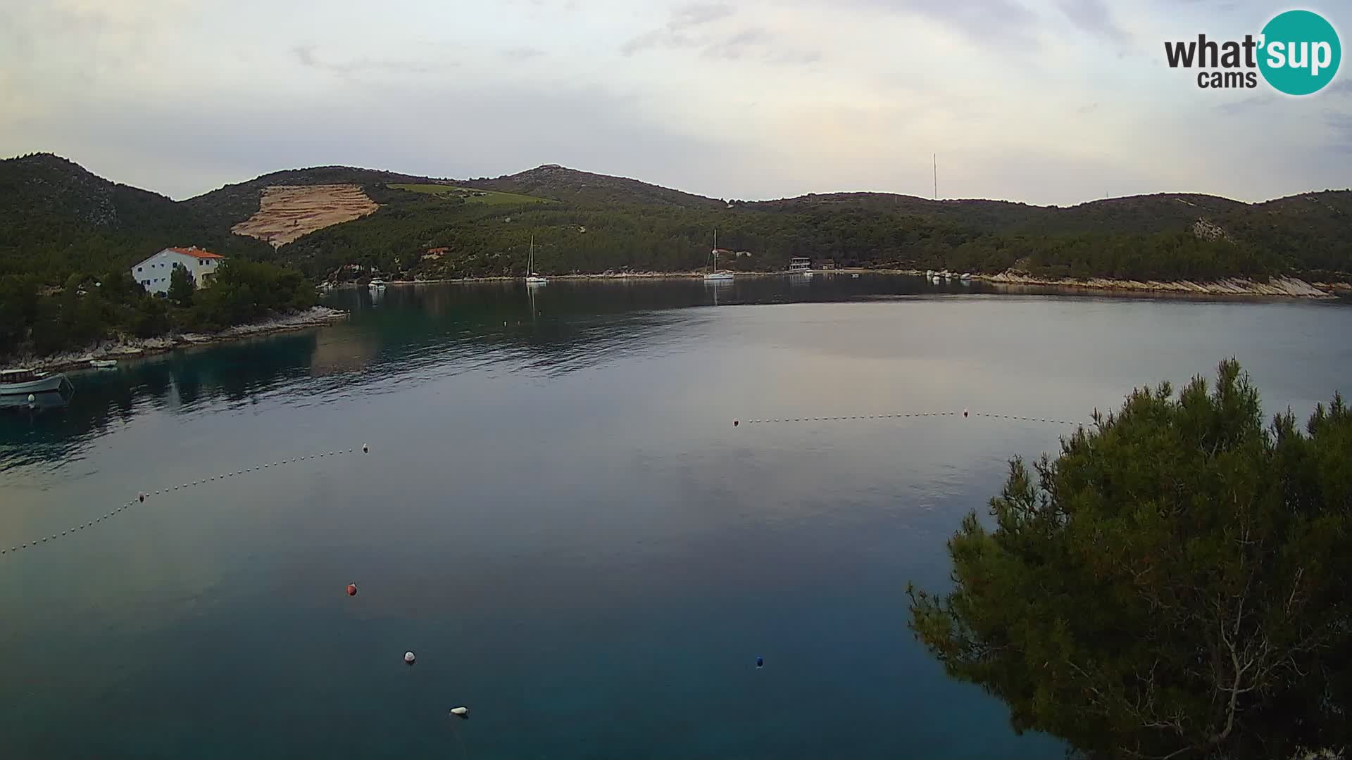 Live cam Hvar Vira plage | Île de Hvar | Dalmatie