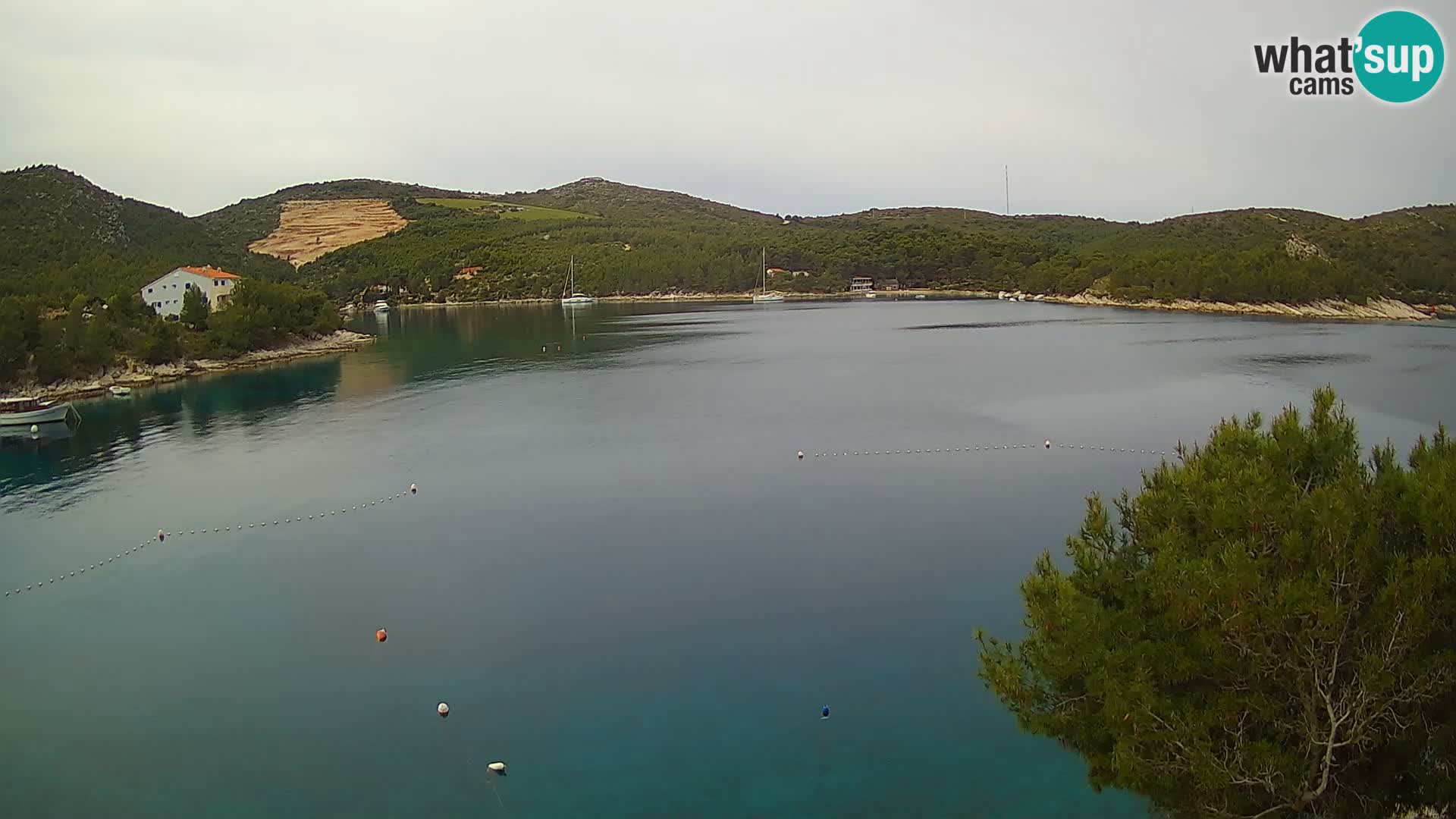 Hvar webcam Vira Strand | Hvar Insel | Dalmatien