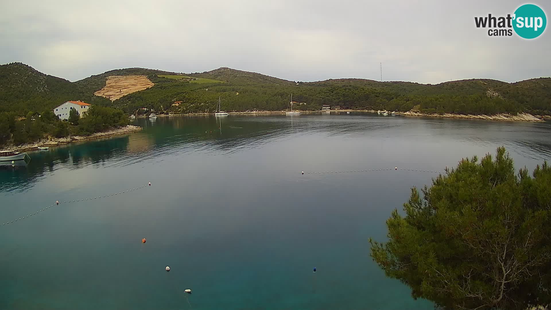 Camera Hvar Vira playa | Isla de Hvar | Dalmacia