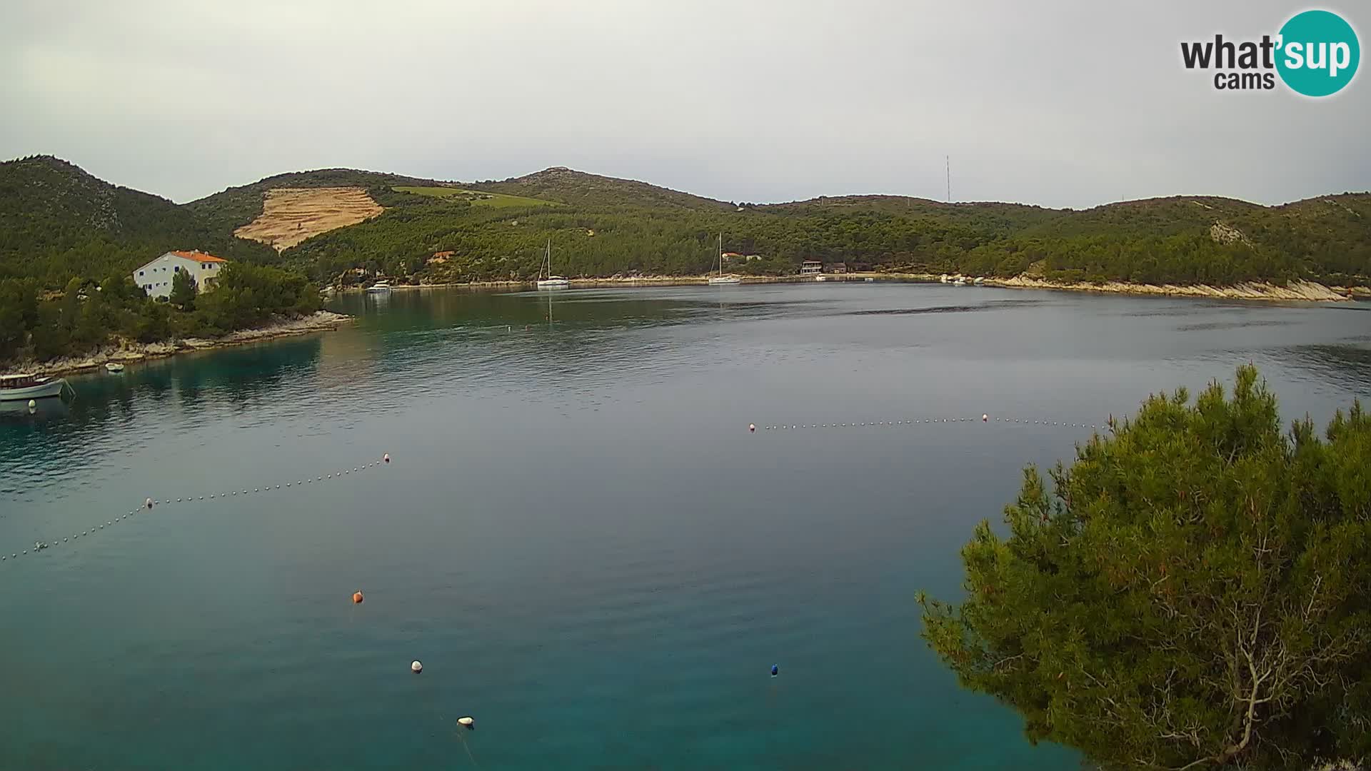 Camera Hvar Vira playa | Isla de Hvar | Dalmacia