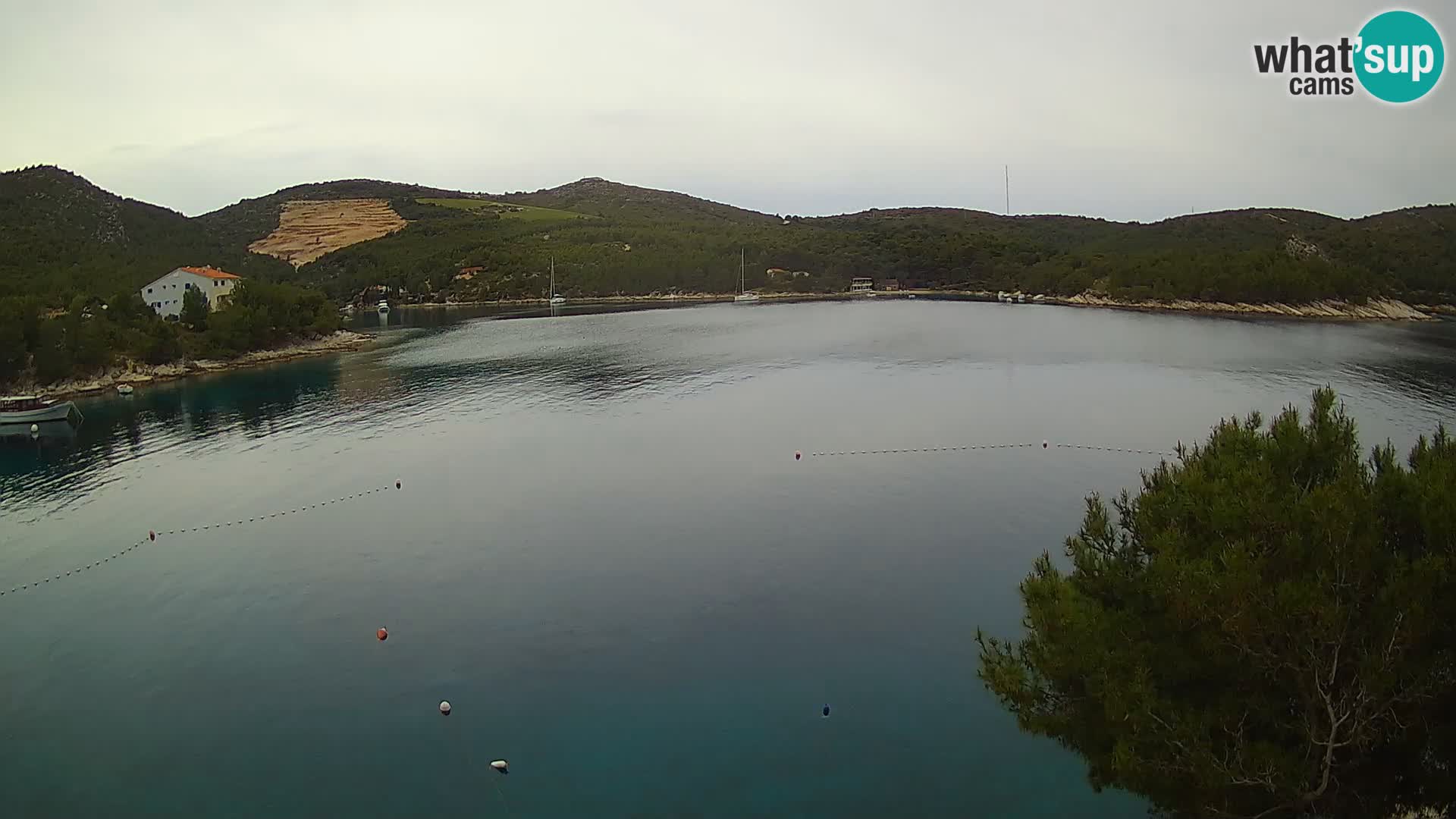 Webcam Hvar Vira beach | Hvar island | Dalmatia