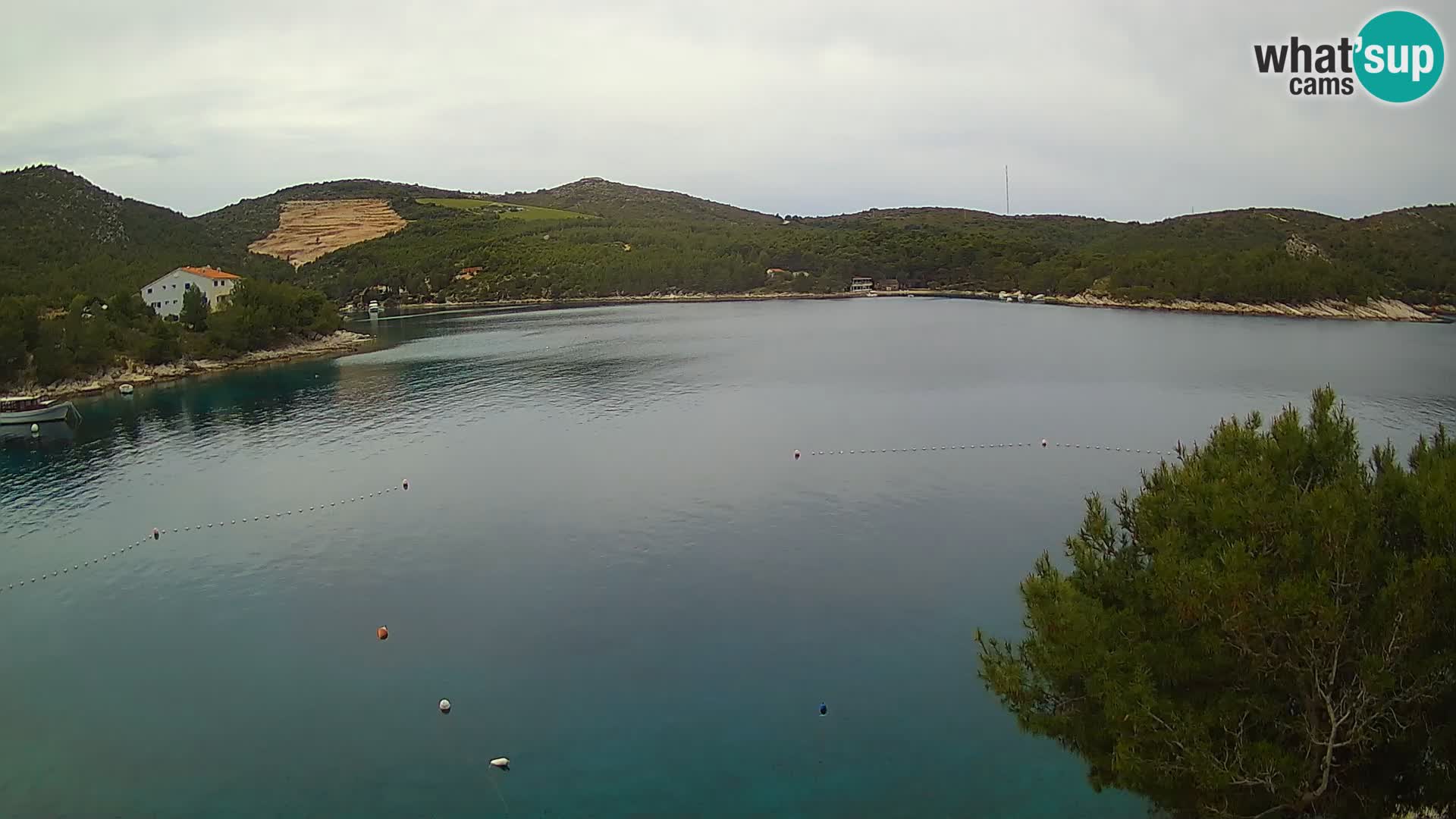 Hvar webcam Vira Strand | Hvar Insel | Dalmatien