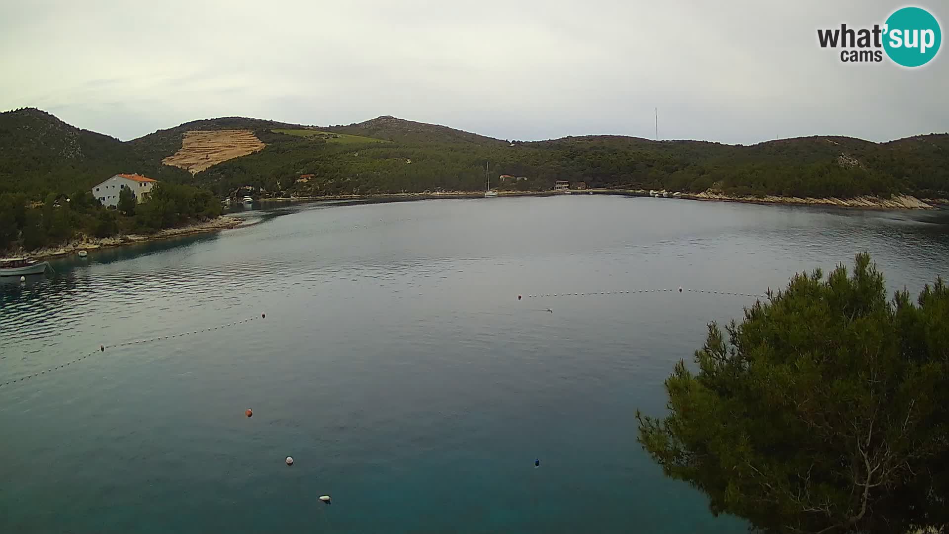 Web kamera Hvar Vira plaža | otok Hvar | Dalmacija