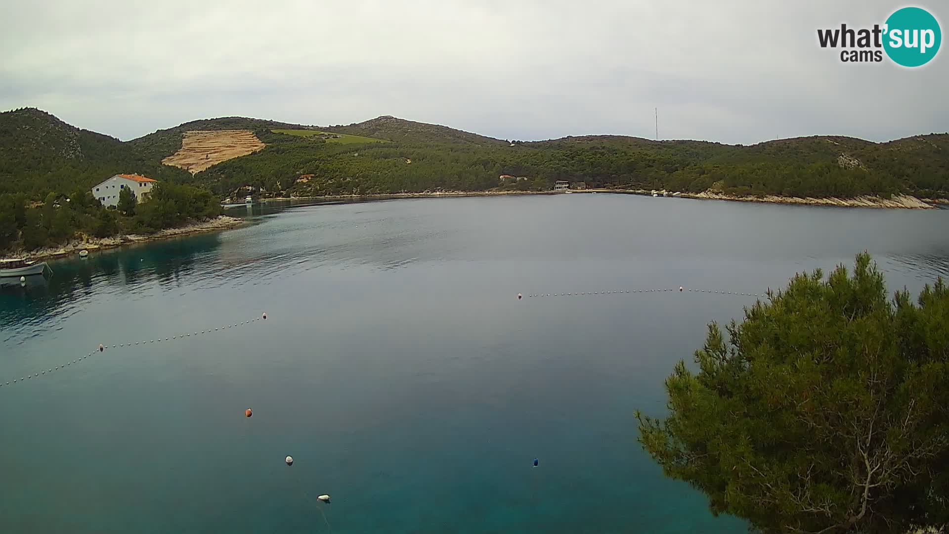 Camera Hvar Vira playa | Isla de Hvar | Dalmacia