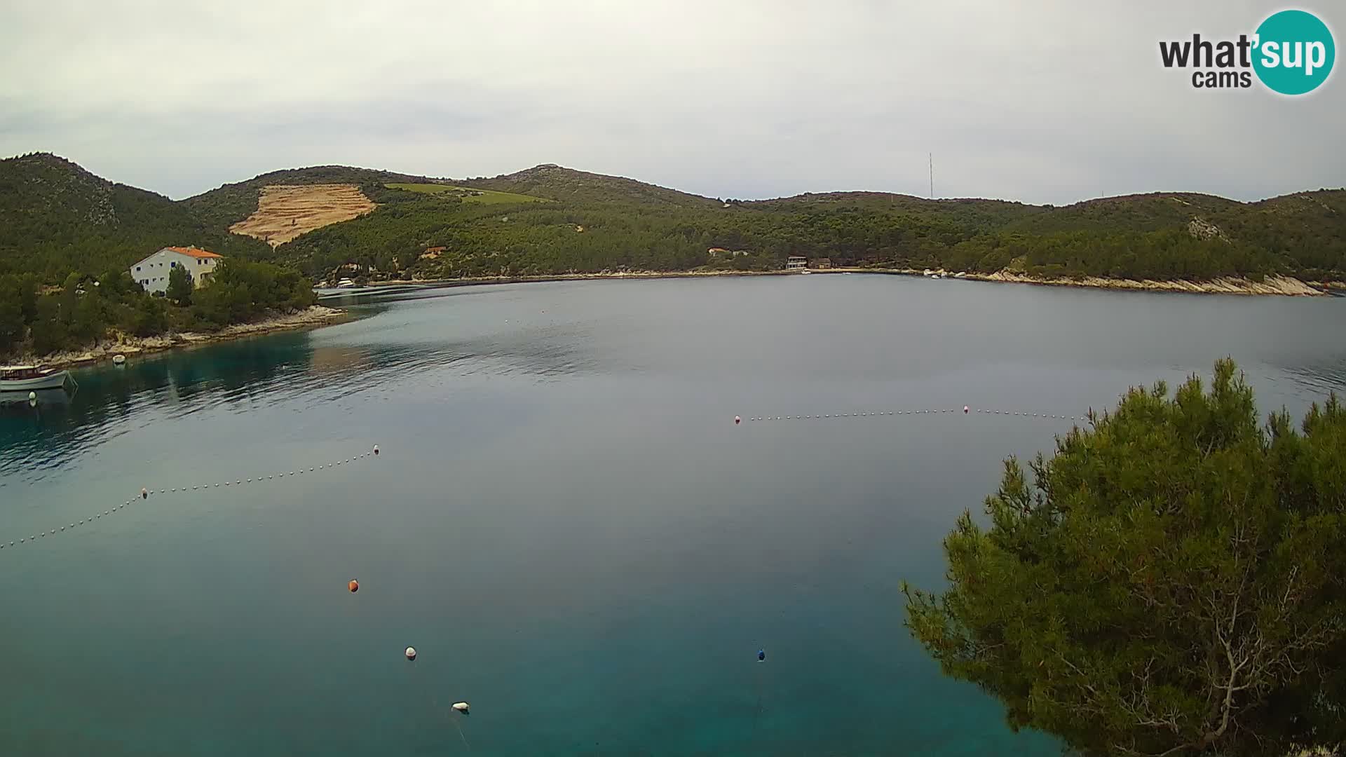 Kamera Hvar Vira plaža | Otok Hvar | Dalmacija