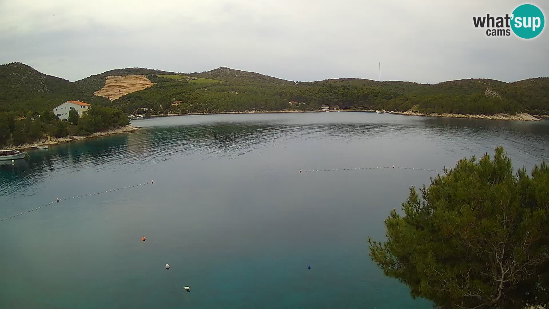 Hvar webcam Vira Strand | Hvar Insel | Dalmatien