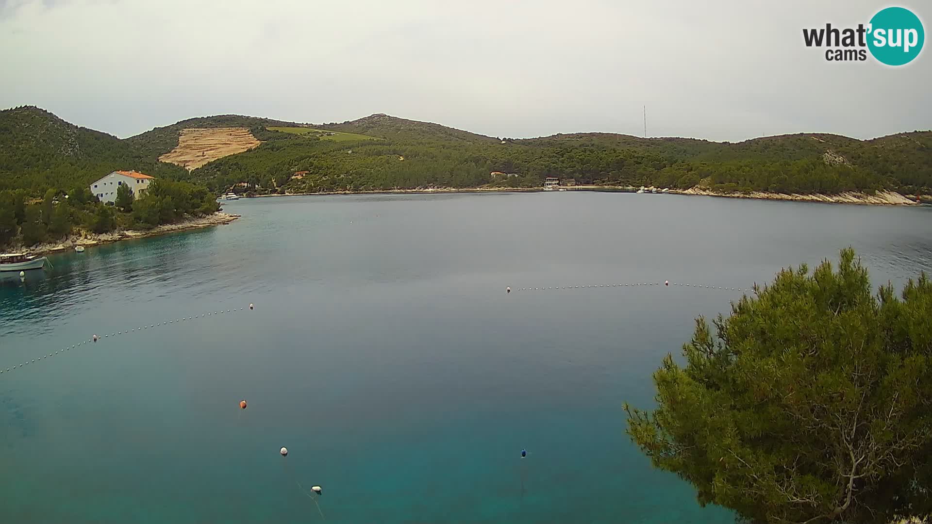 Live cam Hvar Vira plage | Île de Hvar | Dalmatie
