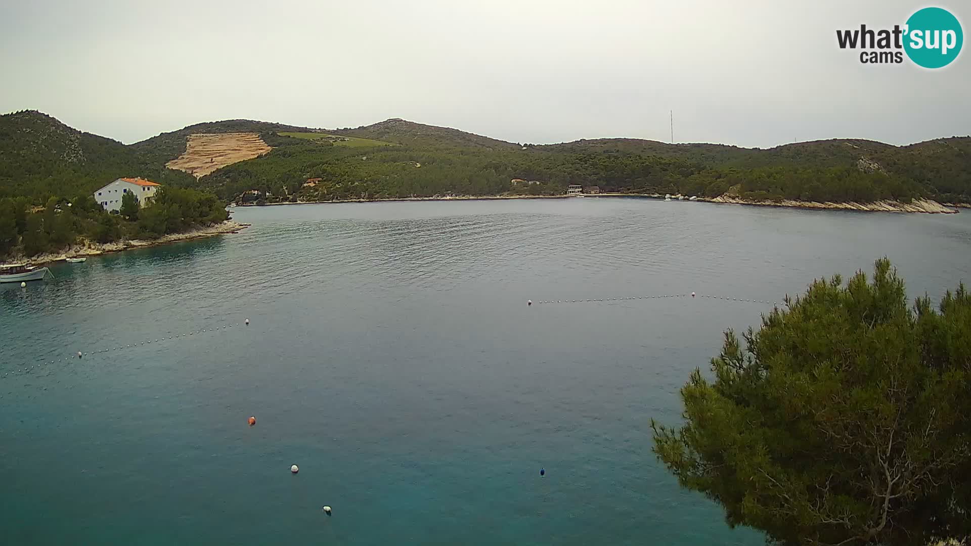 Live cam Hvar Vira plage | Île de Hvar | Dalmatie
