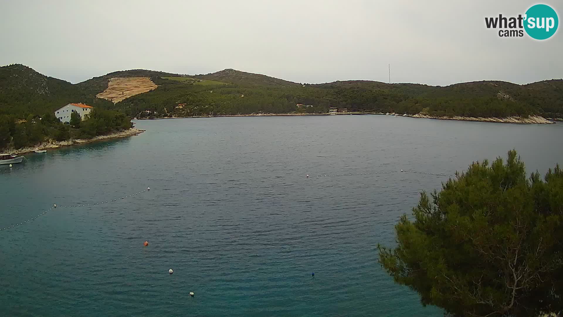 Webcam Hvar Vira beach | Hvar island | Dalmatia