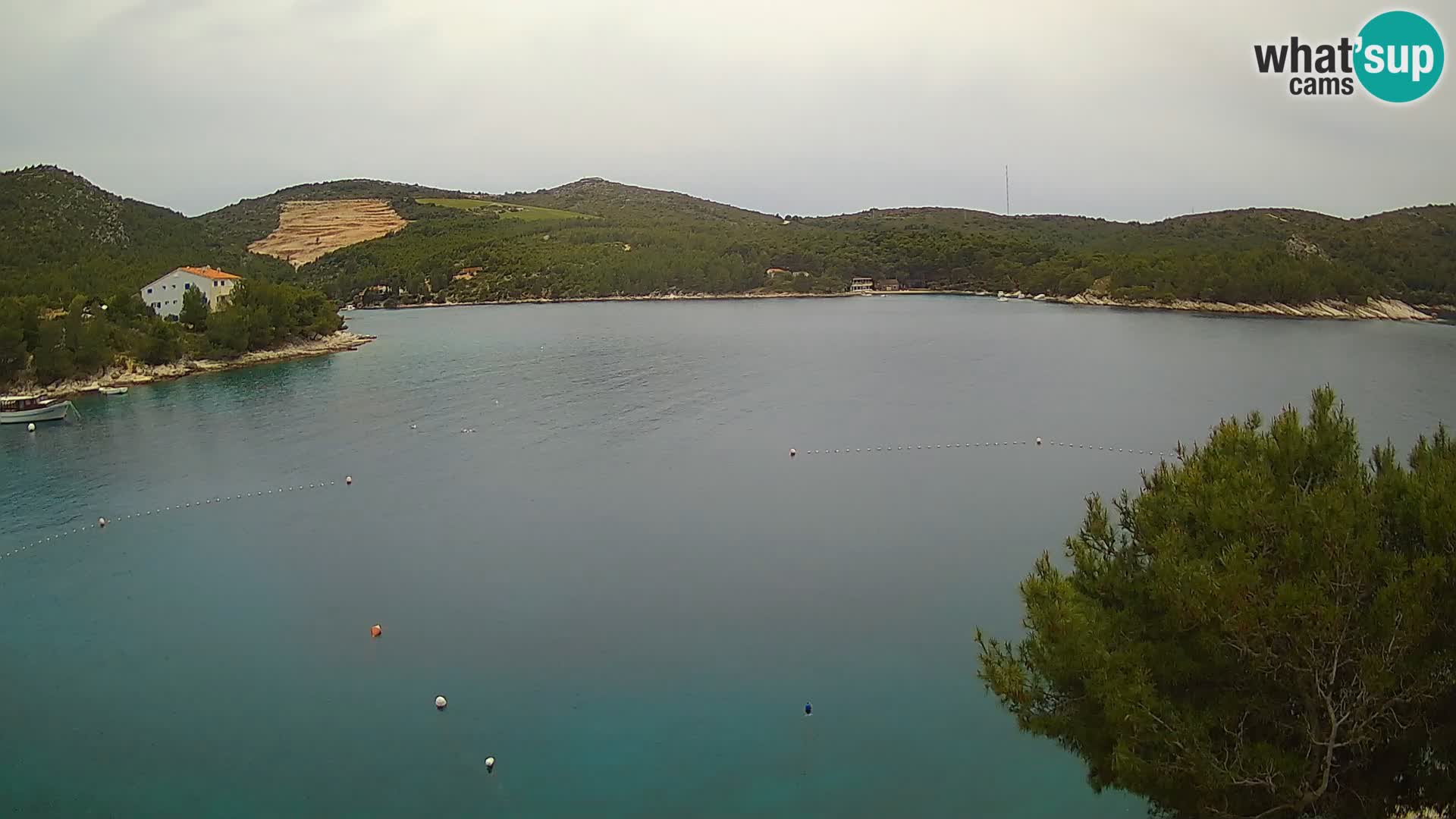 Webcam Hvar Vira beach | Hvar island | Dalmatia