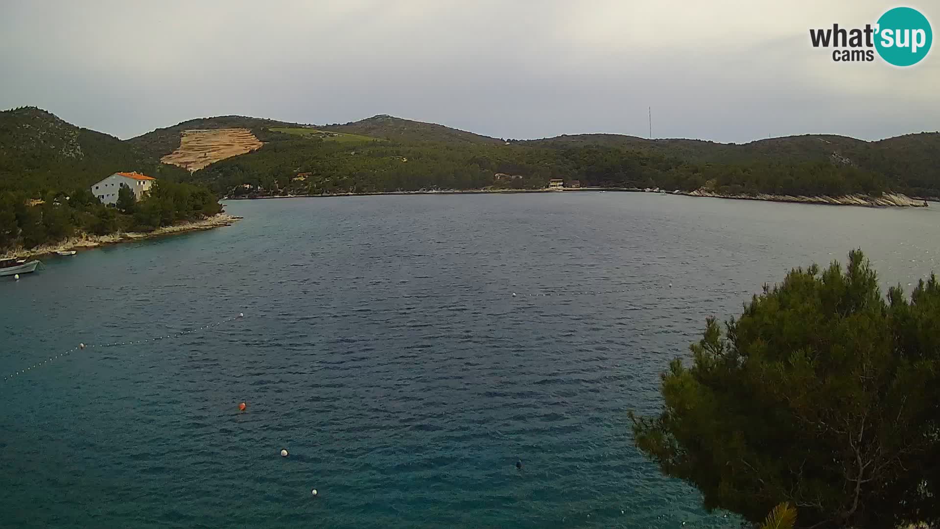 Camera Hvar Vira playa | Isla de Hvar | Dalmacia