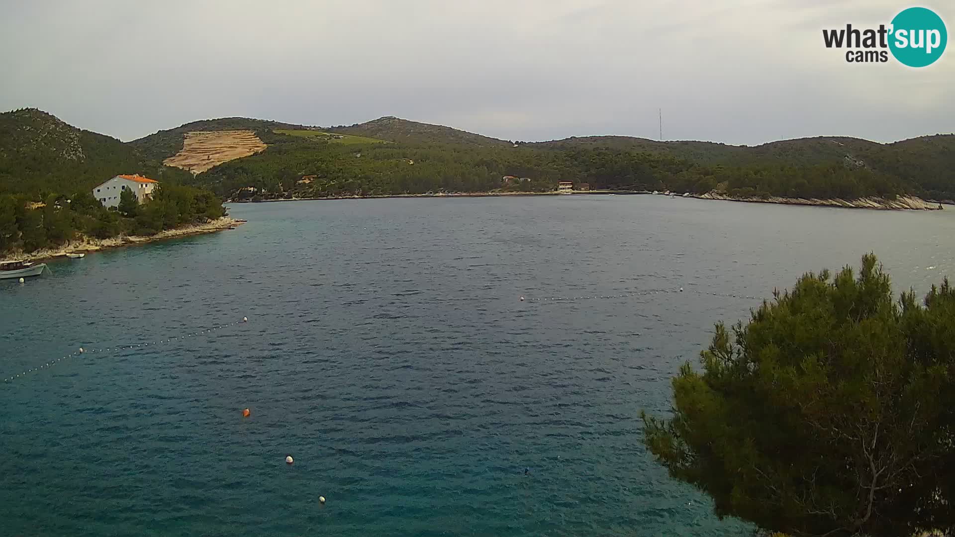 Web kamera Hvar Vira plaža | otok Hvar | Dalmacija