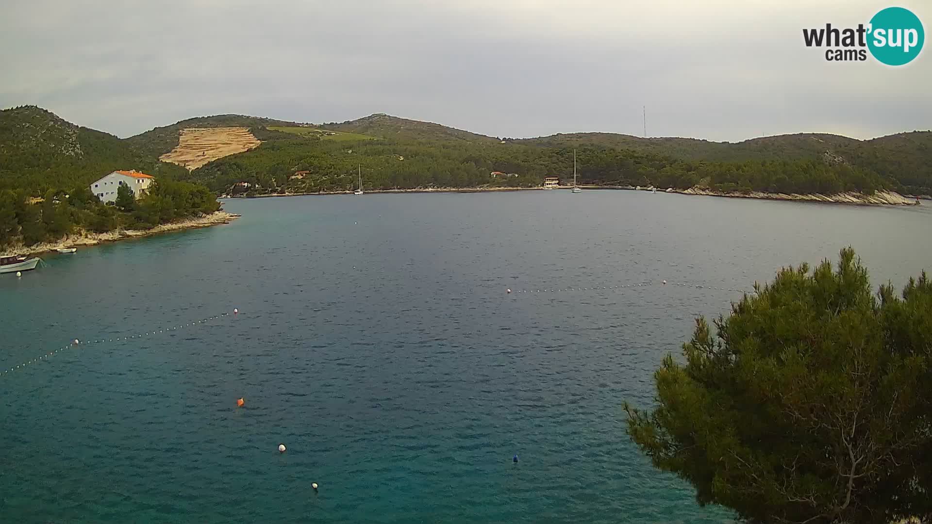 Hvar webcam Vira Strand | Hvar Insel | Dalmatien