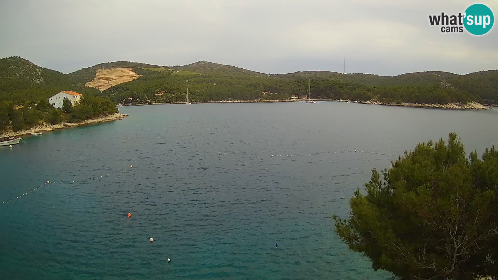 Hvar webcam Vira Strand | Hvar Insel | Dalmatien