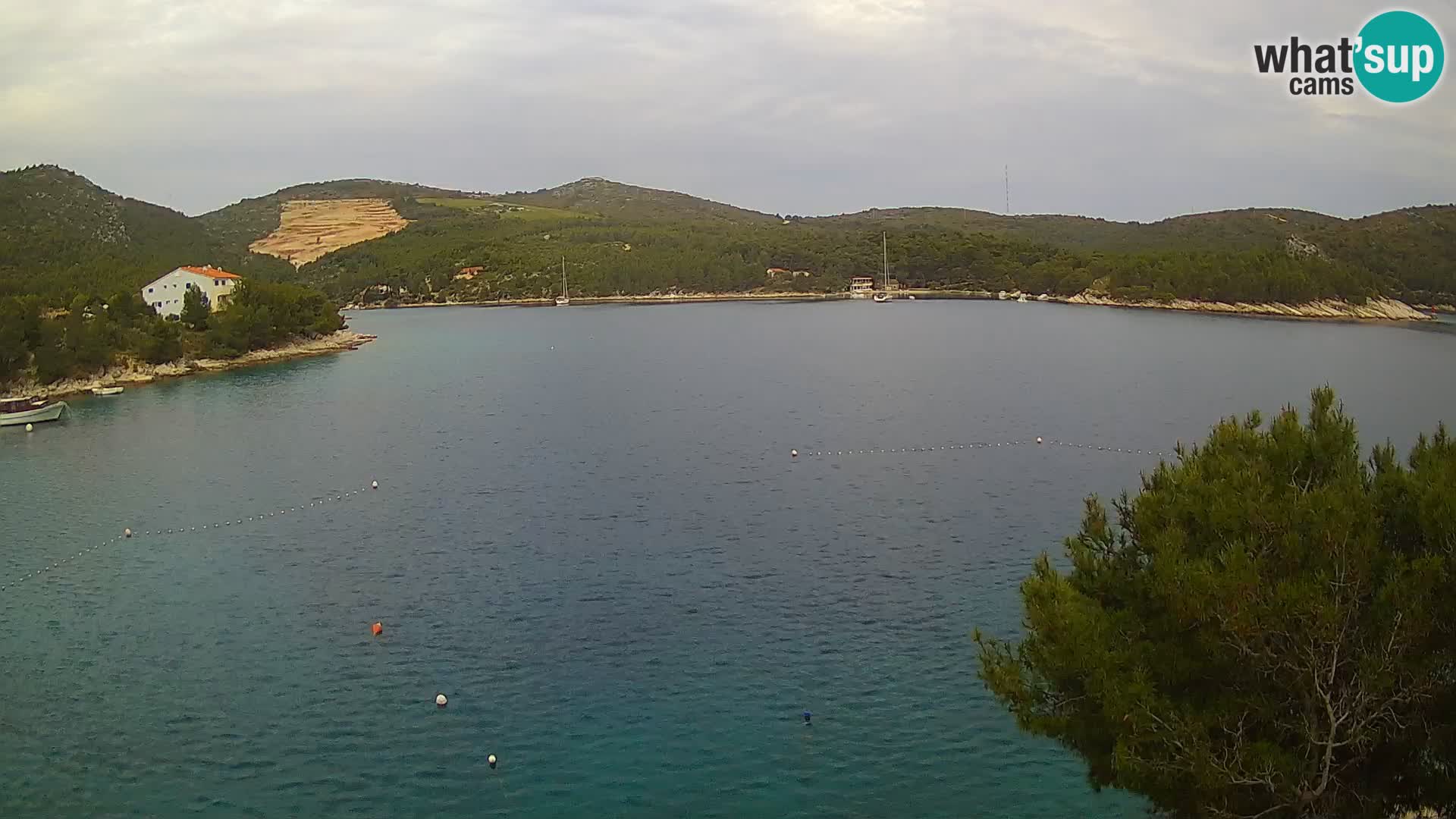 Hvar webcam Vira Strand | Hvar Insel | Dalmatien