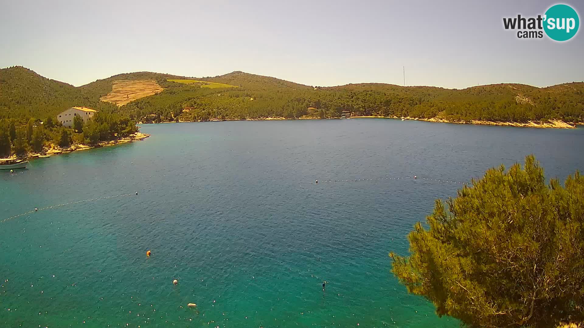 Web kamera Hvar Vira plaža | otok Hvar | Dalmacija