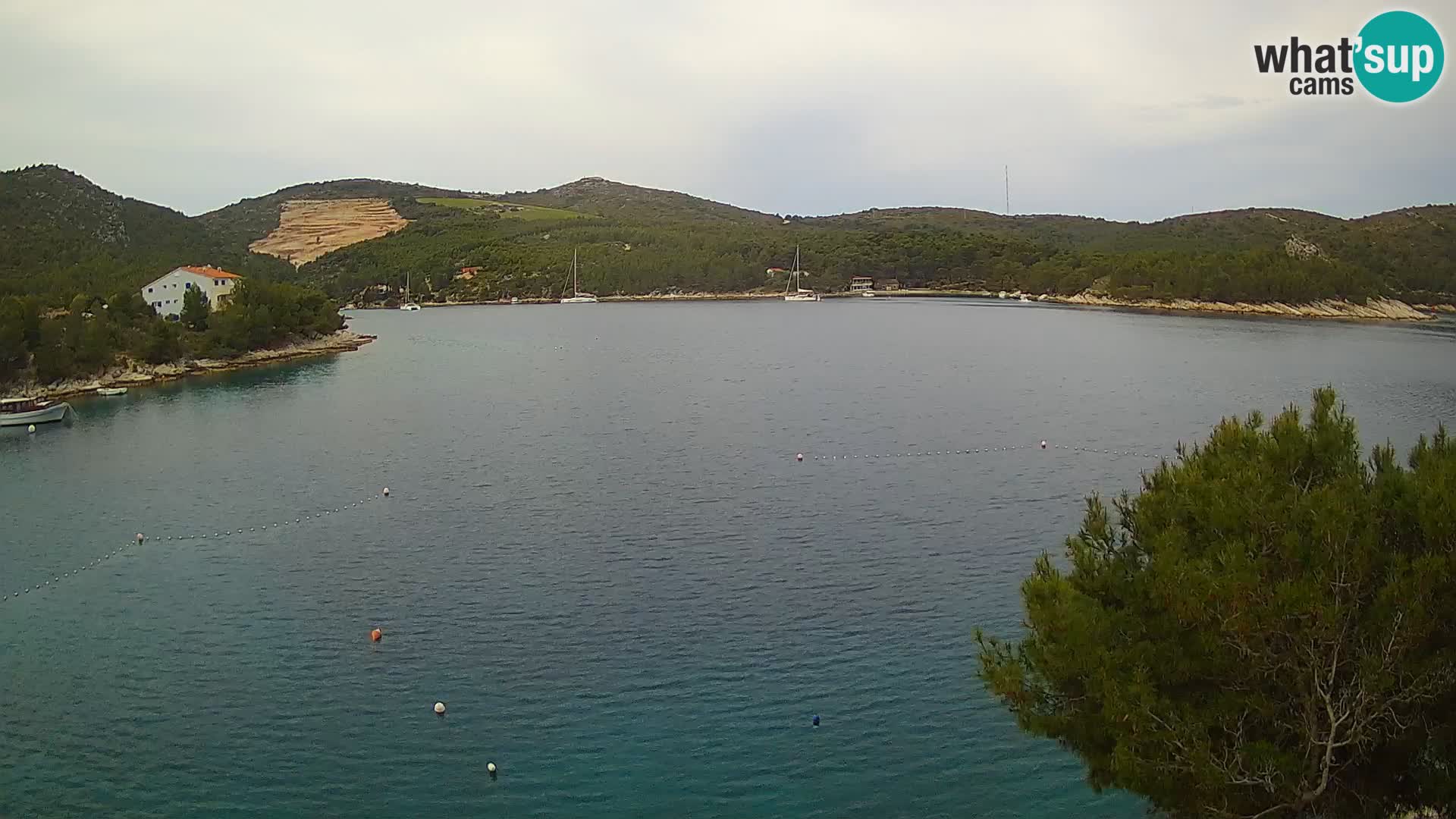 Hvar webcam Vira Strand | Hvar Insel | Dalmatien