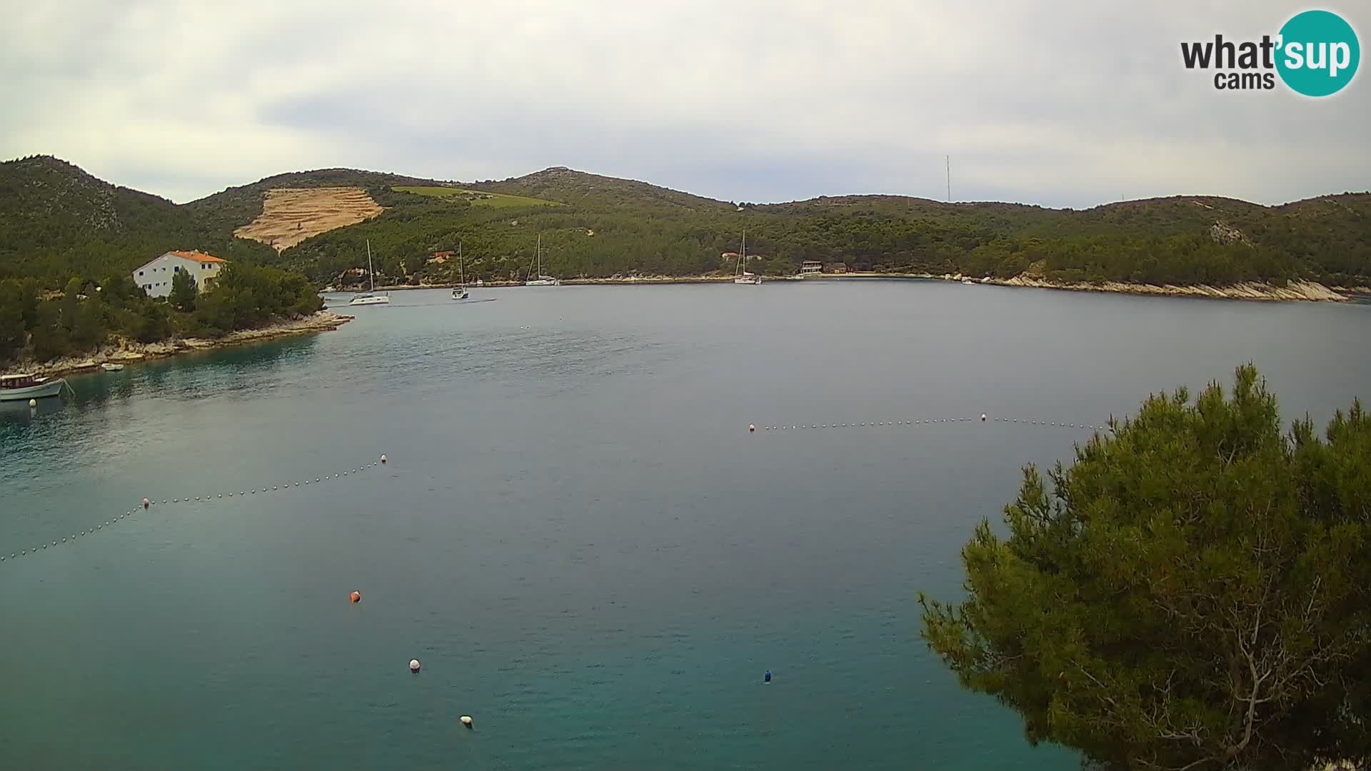 Camera Hvar Vira playa | Isla de Hvar | Dalmacia
