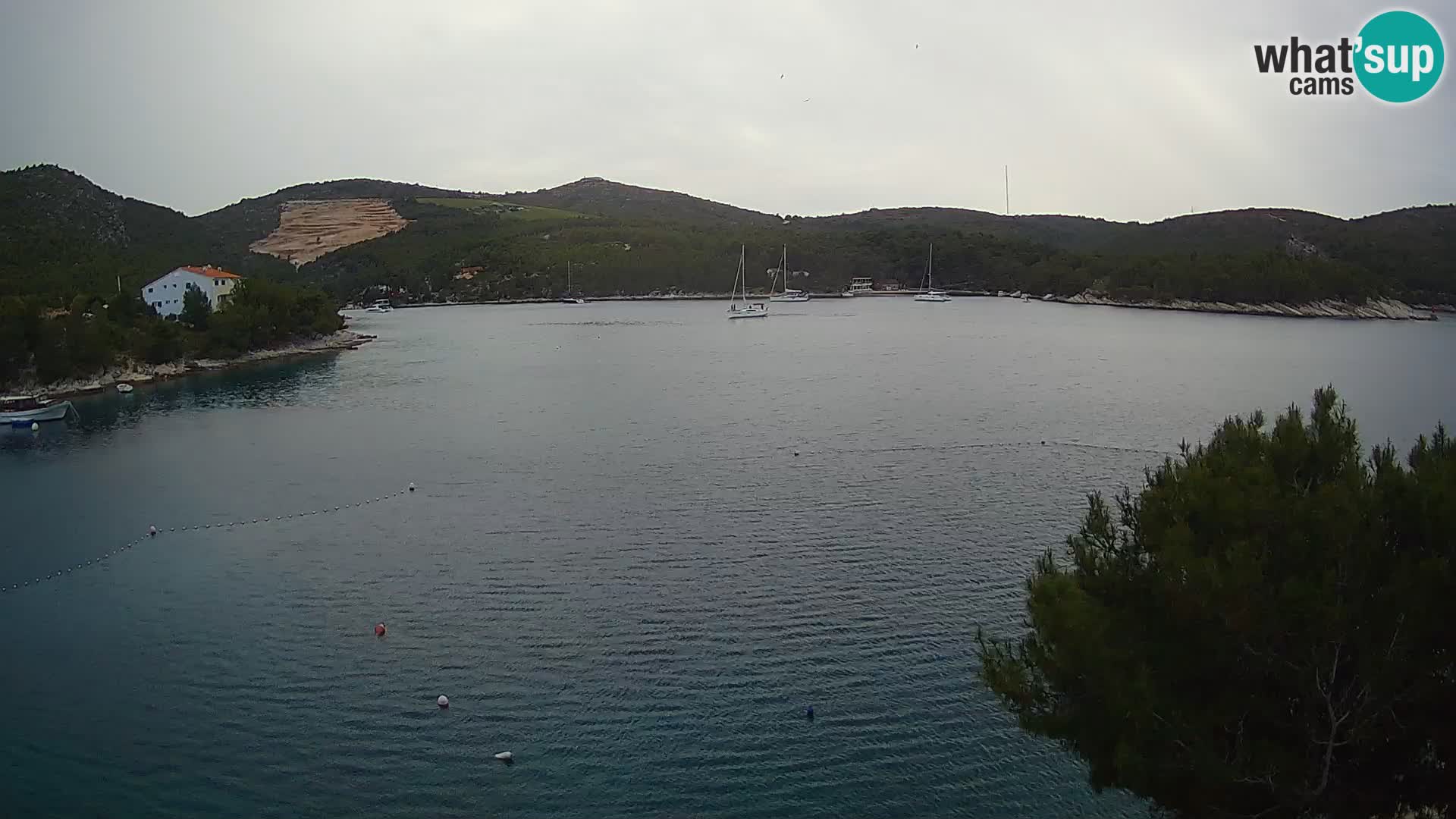Hvar webcam Vira Strand | Hvar Insel | Dalmatien