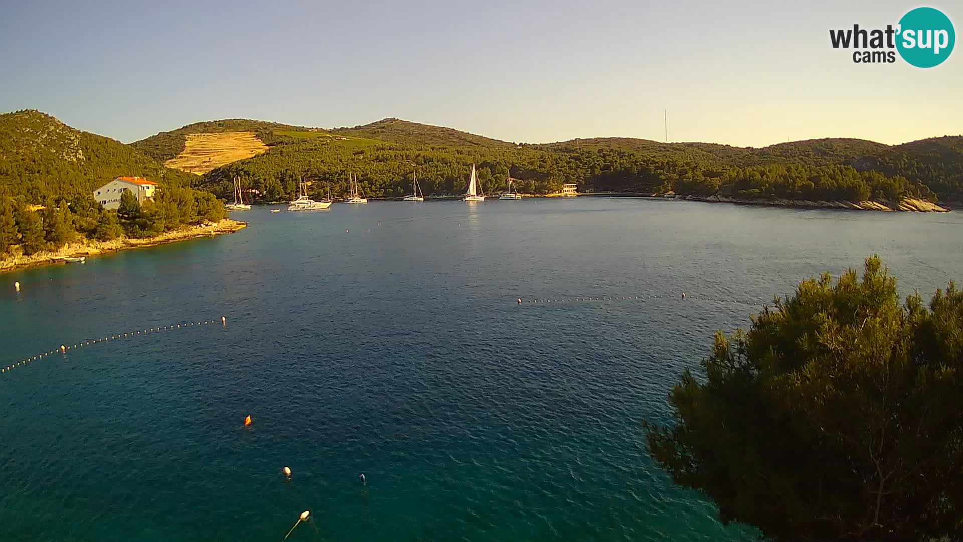 Hvar webcam Vira Strand | Hvar Insel | Dalmatien